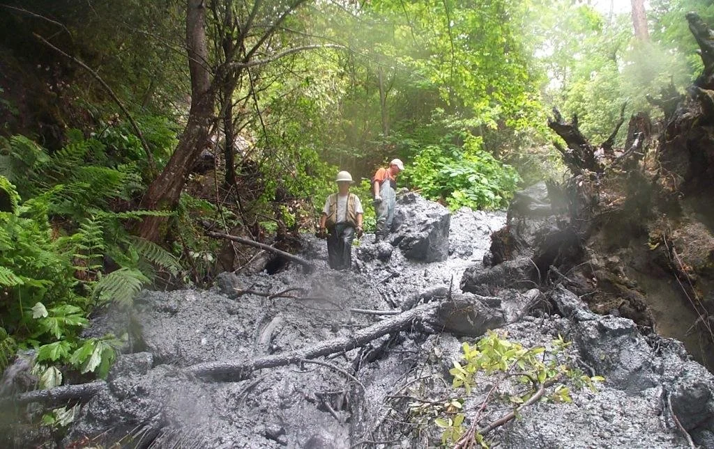 People examining muddy landslide in forested area with fallen trees and rocks
