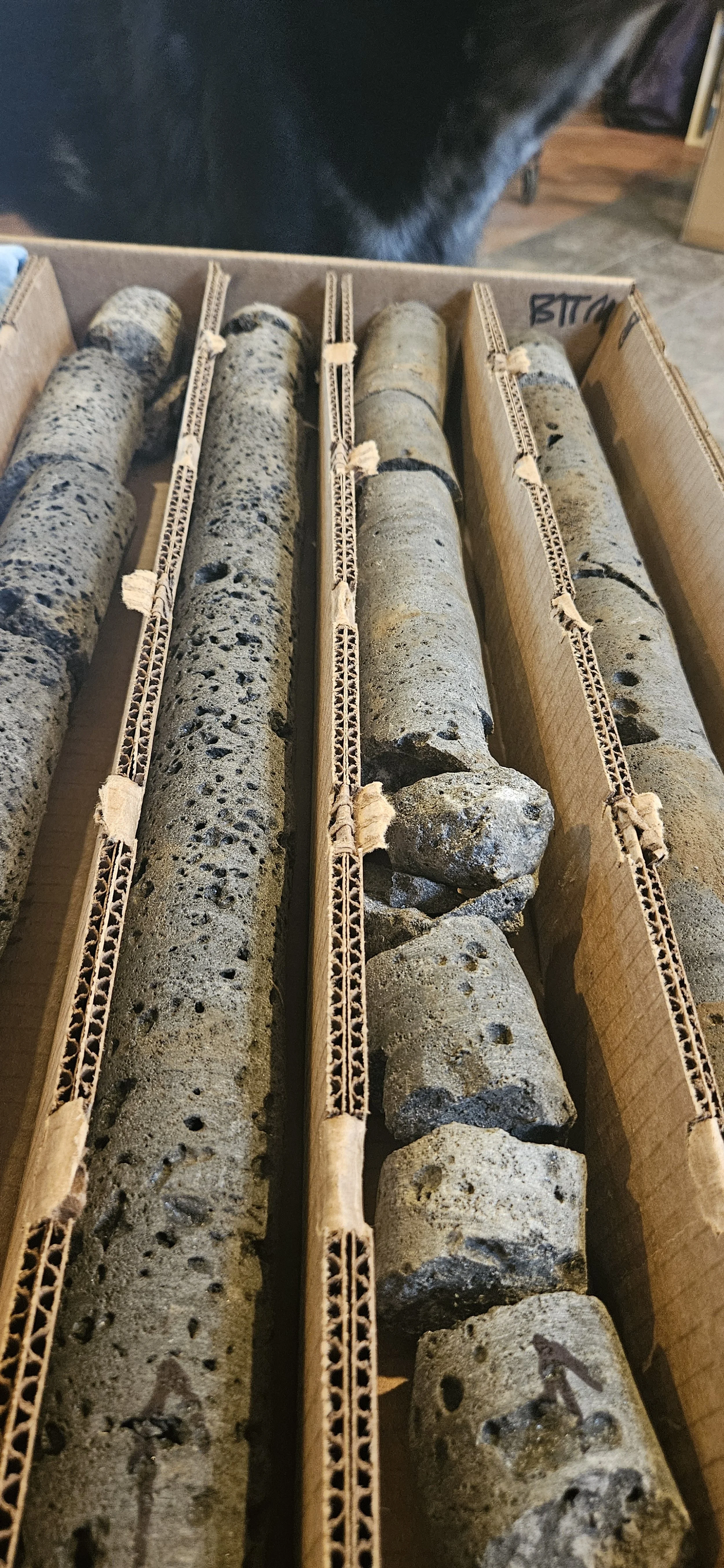 Box containing cylindrical rock core samples with porous texture