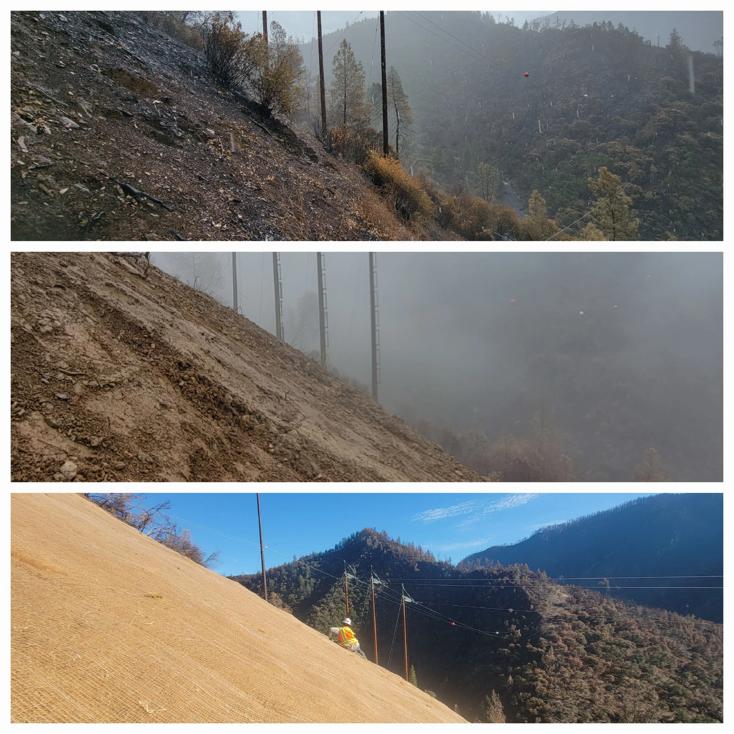 Collage of three images showing a hillside transformation with reforestation steps: from bare soil with fog, to covered slope with vegetation, and a worker installing protective mesh.