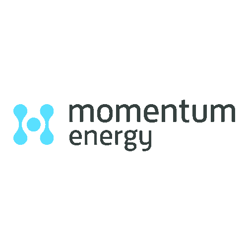 Momentum-color-web-transparent-large.png