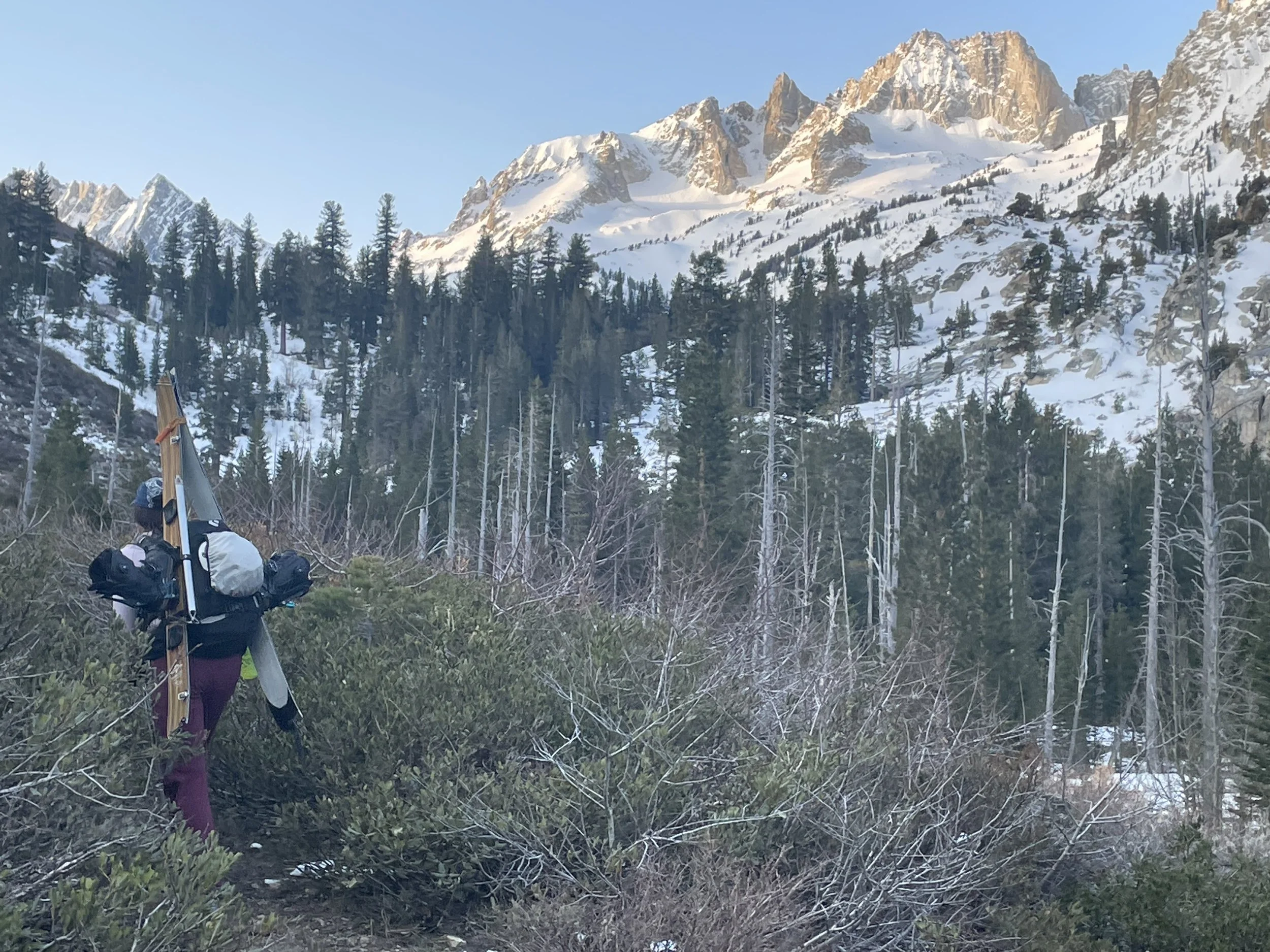 Multiple Sclerosis and The Outdoors