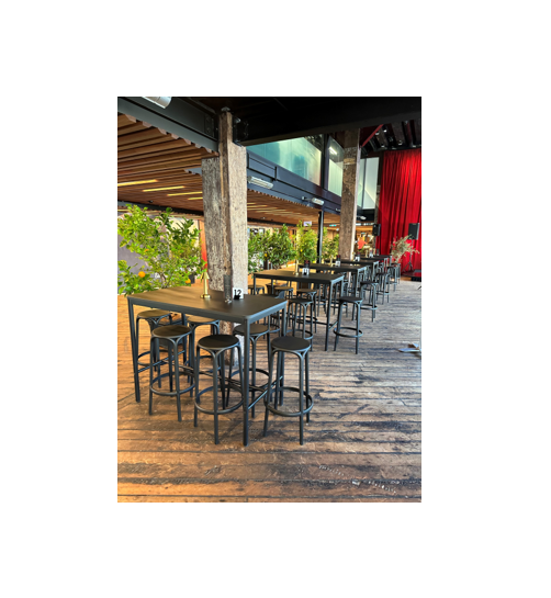 Tapas Table in Situ.PNG