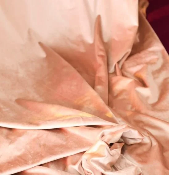 Champagne in Situ 2.JPG