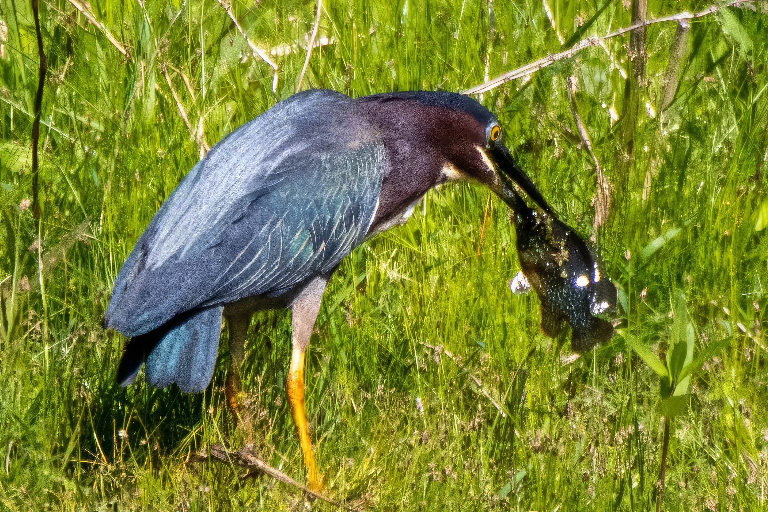 Churchhill Park-24.jpg