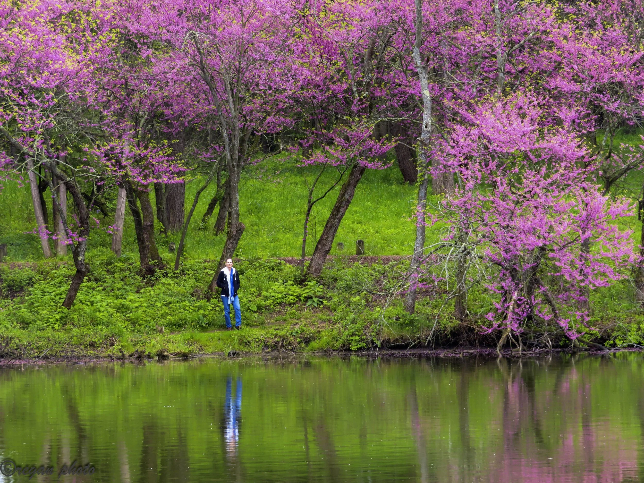 df (79) - edit edit.jpg