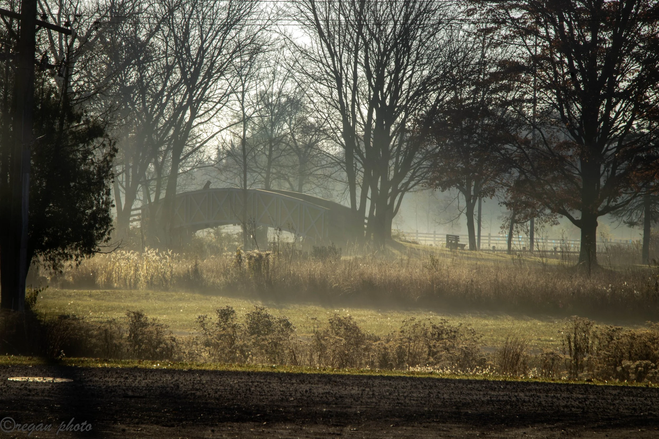 b1 (5) - edit edit.jpg