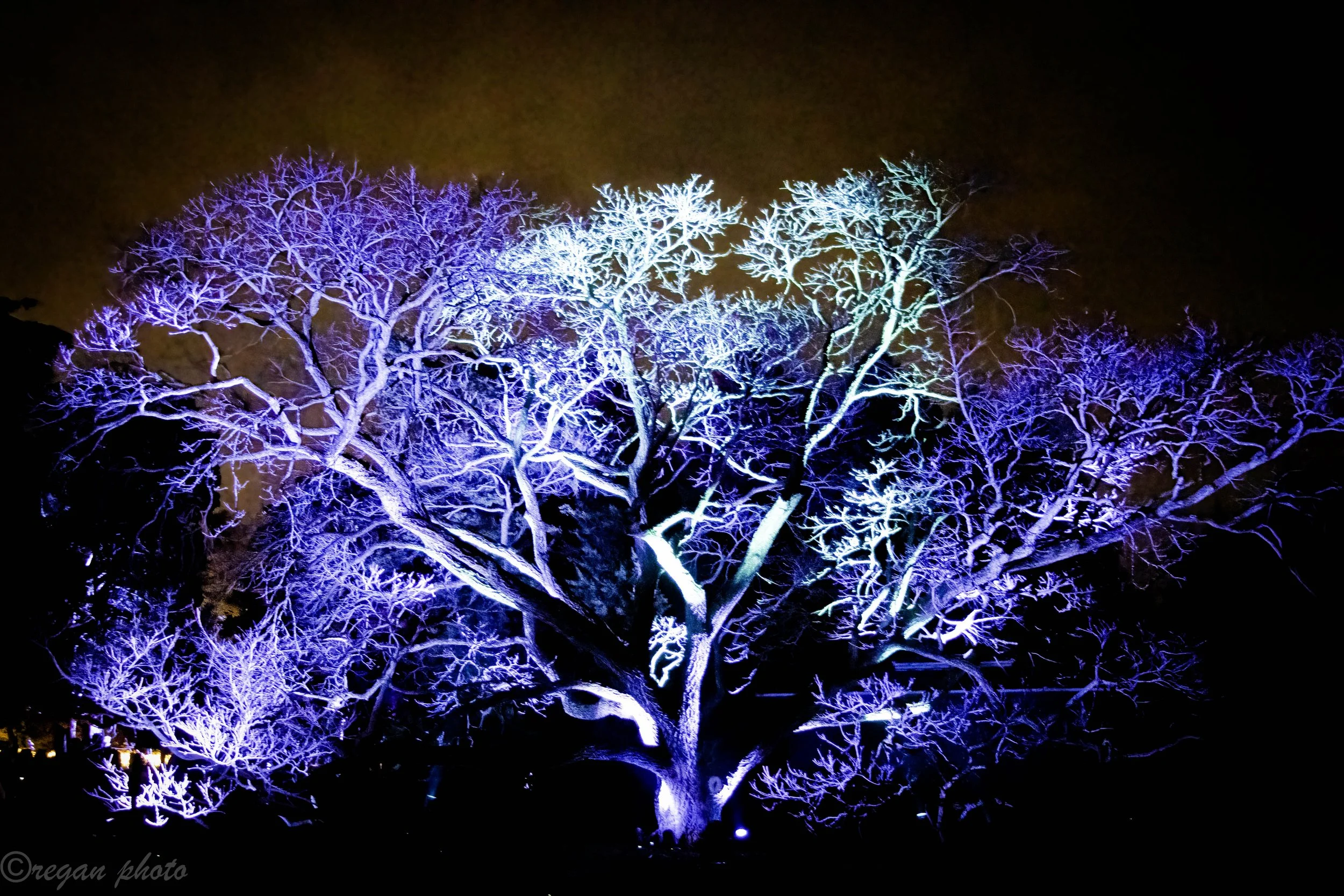 B (3)-Edit edit edit.jpg