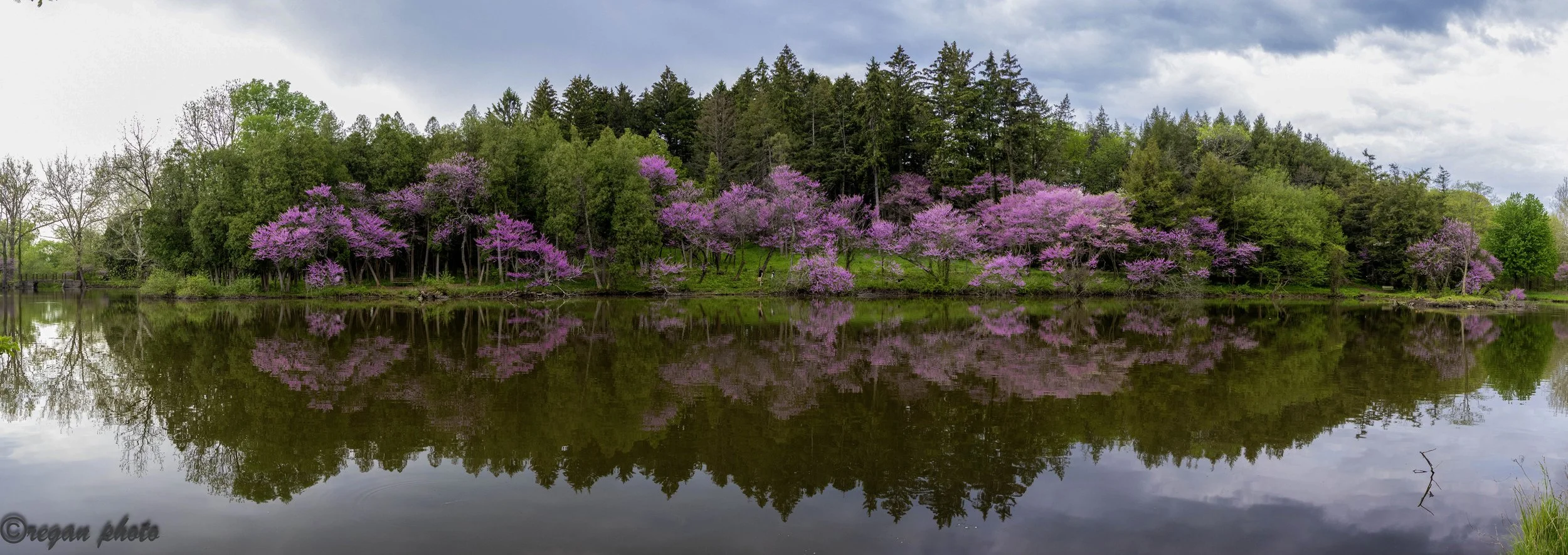 p8 (1)-Pano - edit edit.jpg