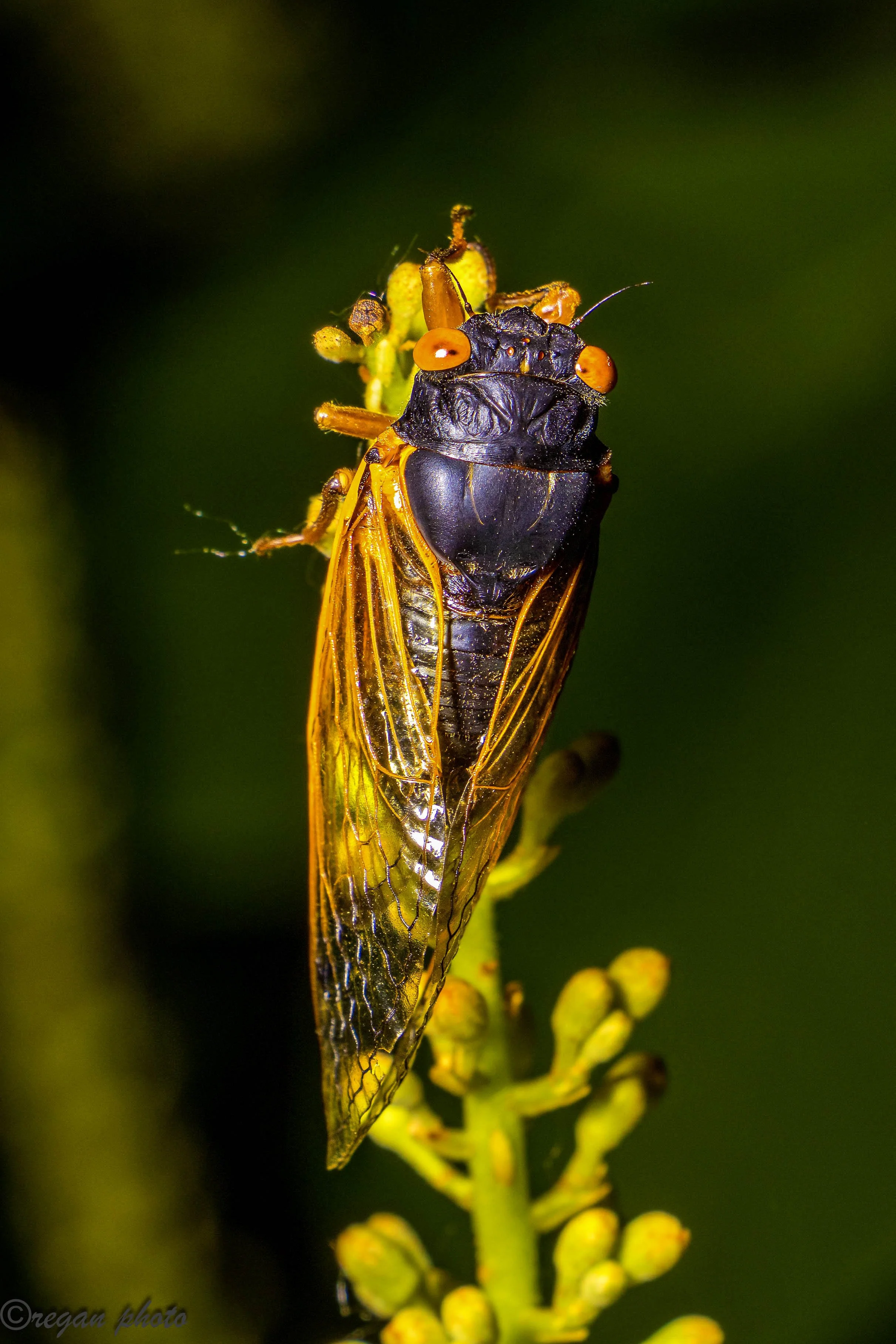 2f4 (10) edit edit.jpg