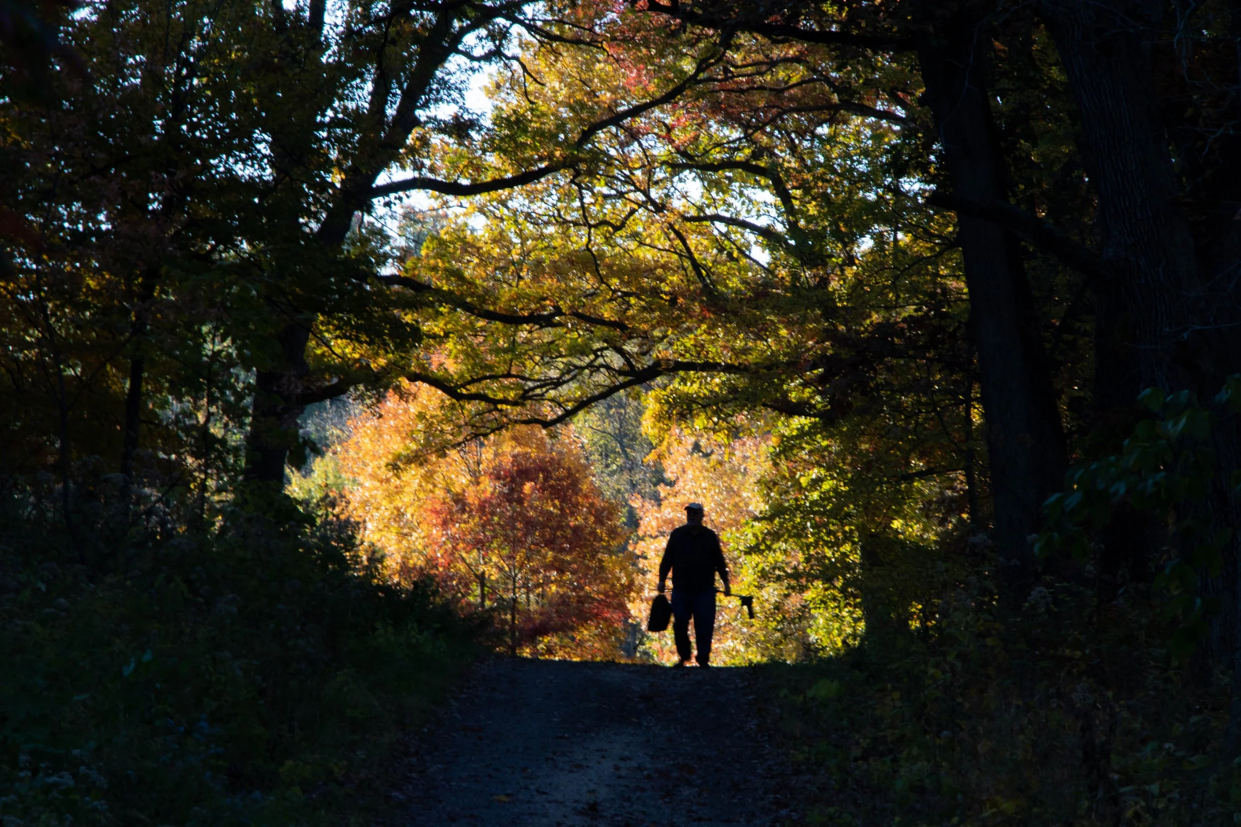 road (24) - edit.jpg