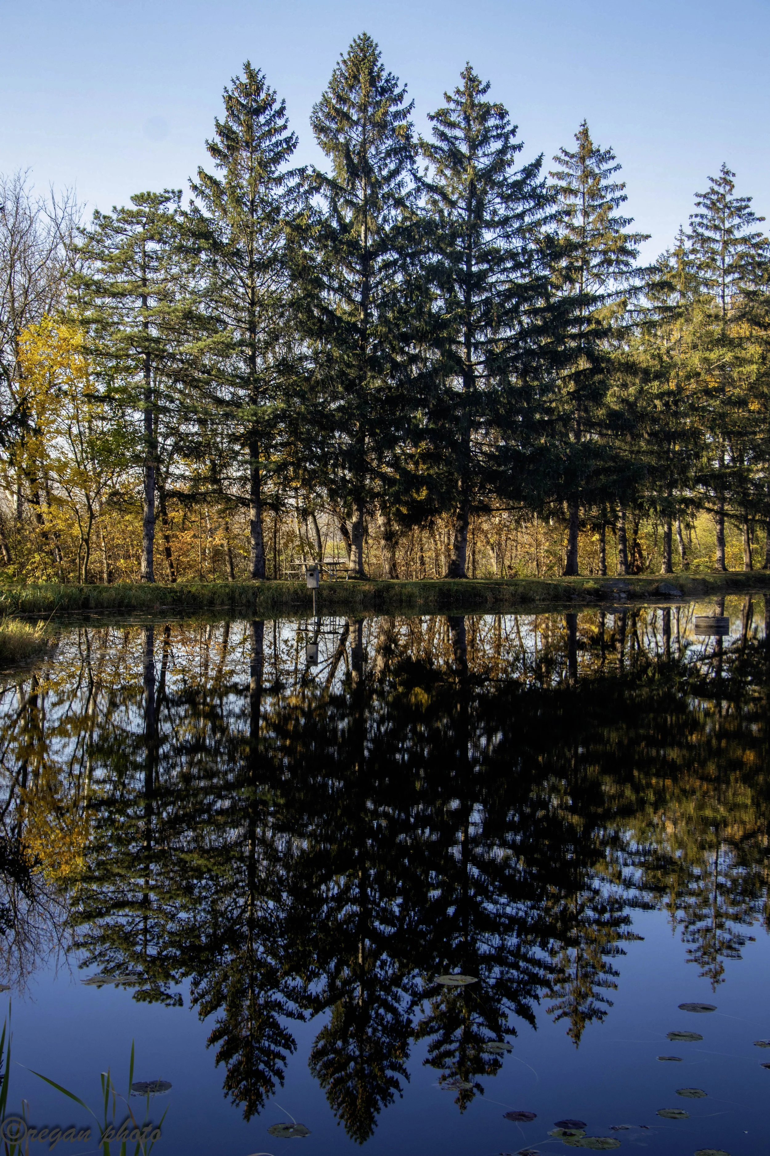 l1 (31) - edit edit.jpg