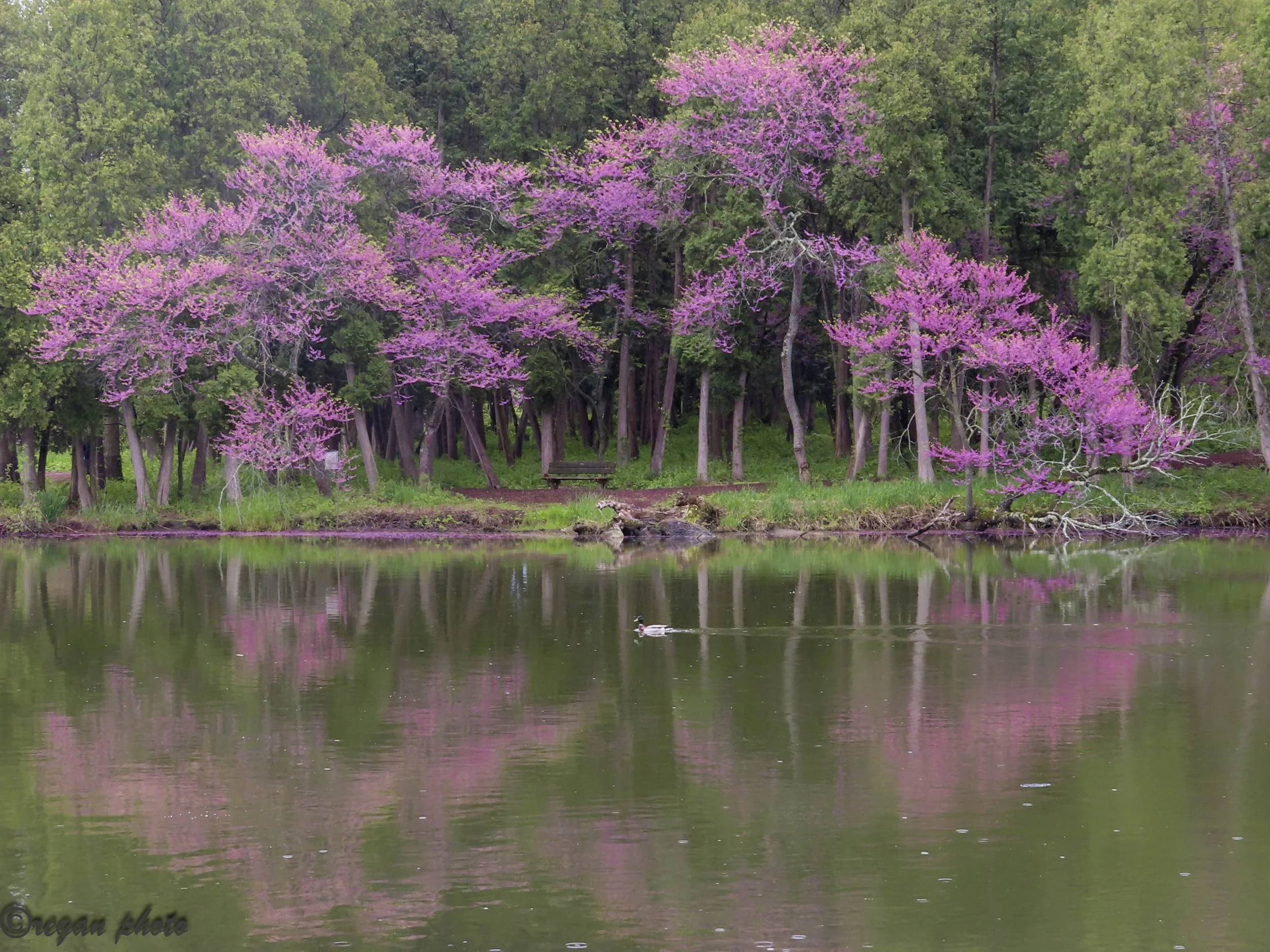 ma (5) - edit edit.jpg