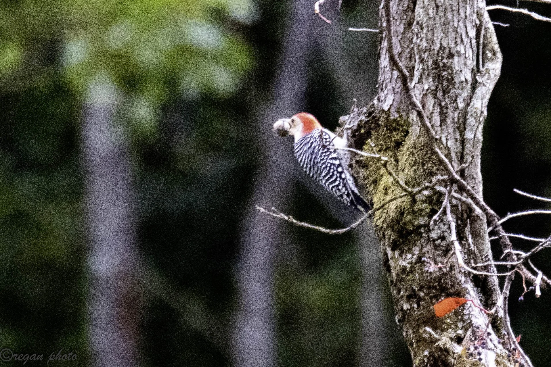 b (119) - edit edit.jpg