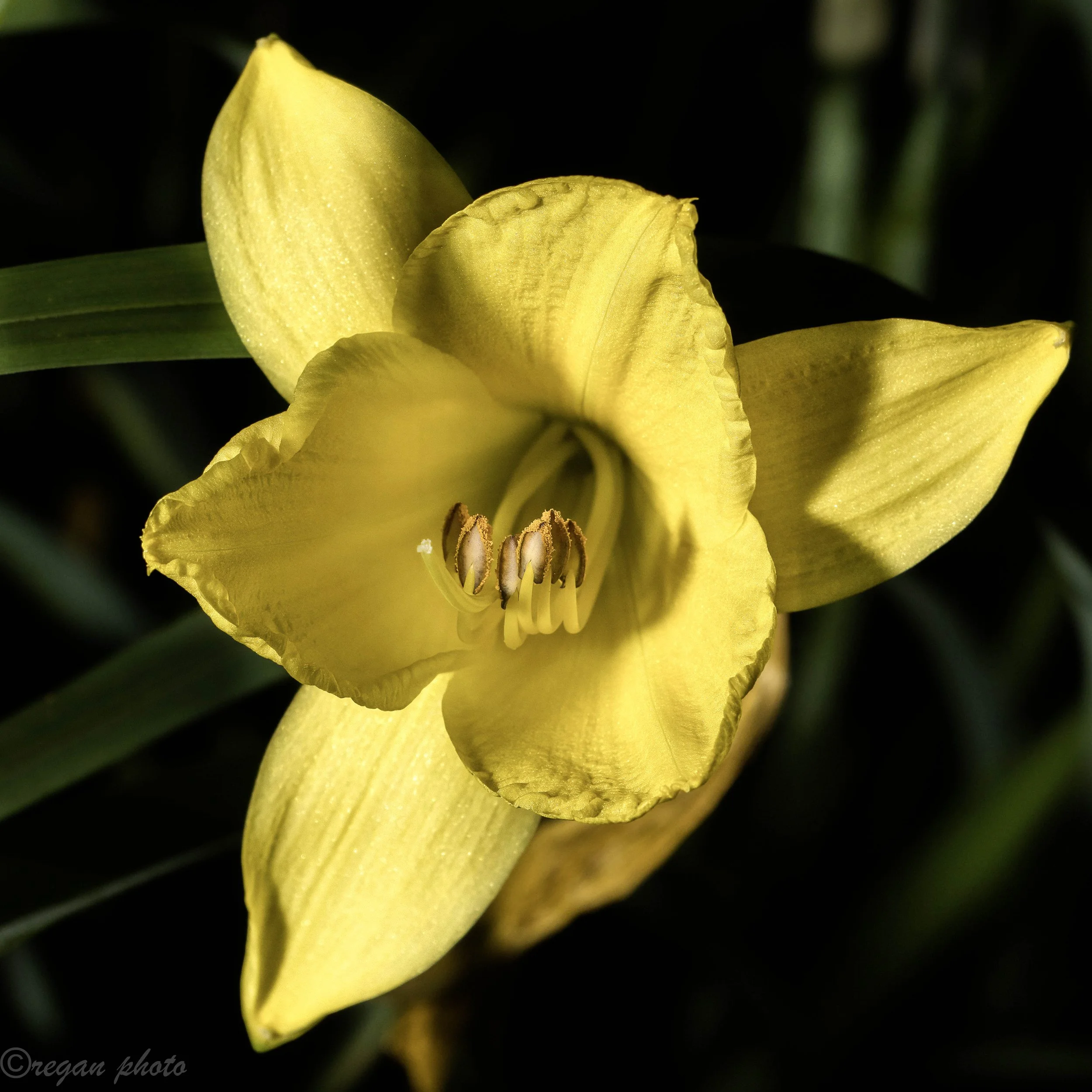 2f3 (22) edit edit.jpg