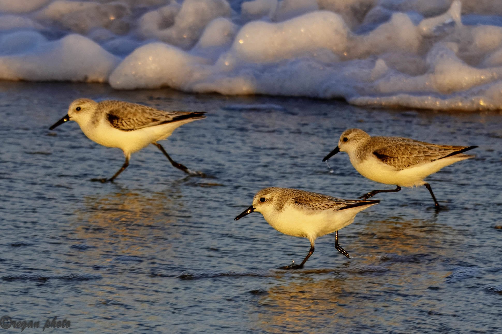 C (14) edit-2 edit.jpg