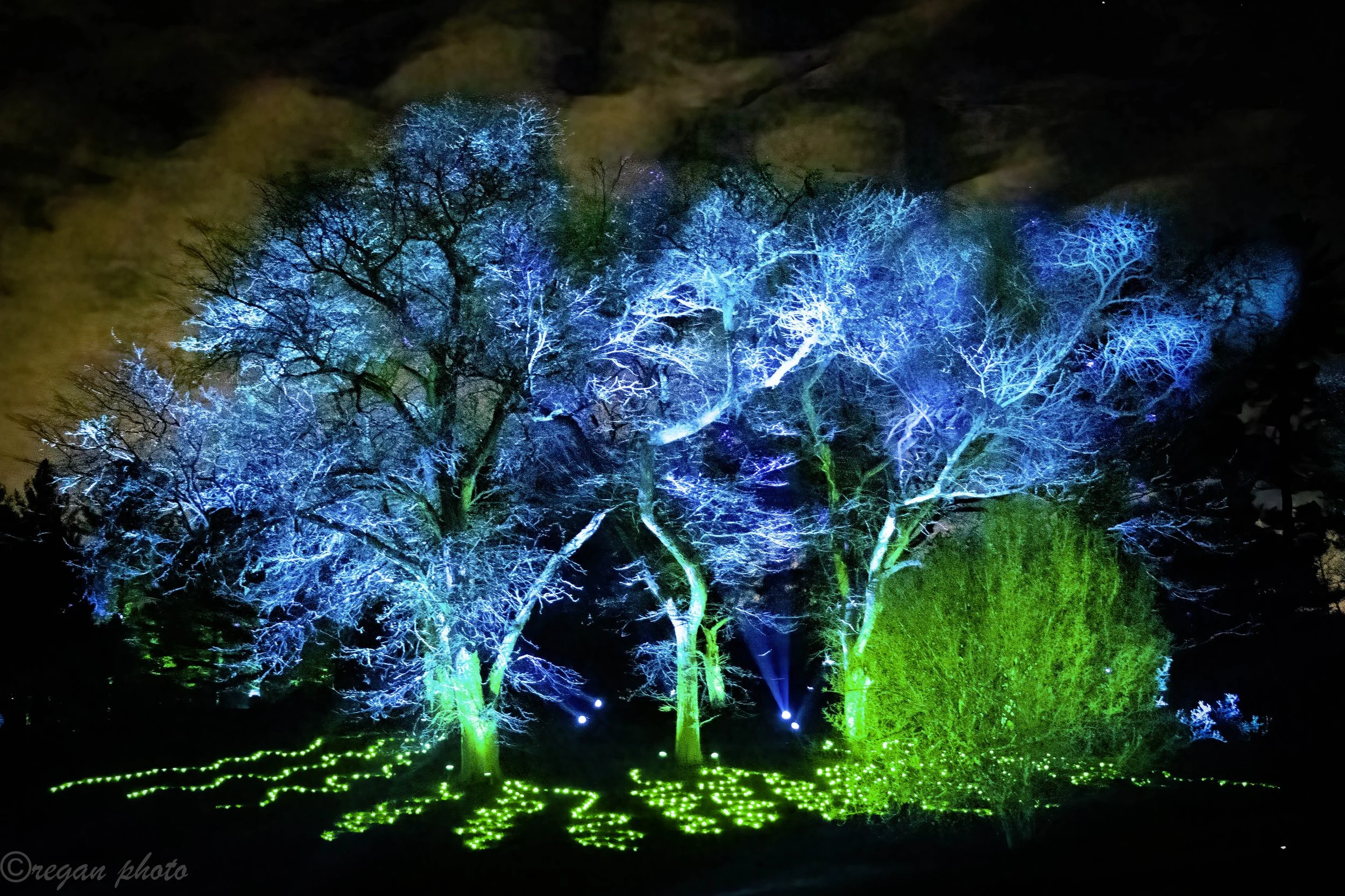 J (14)-Edit edit edit.jpg