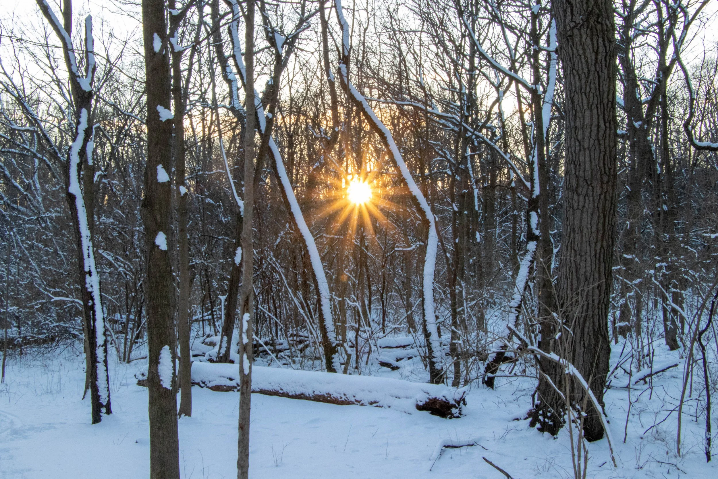 Glen Falls (34)-edit.jpg