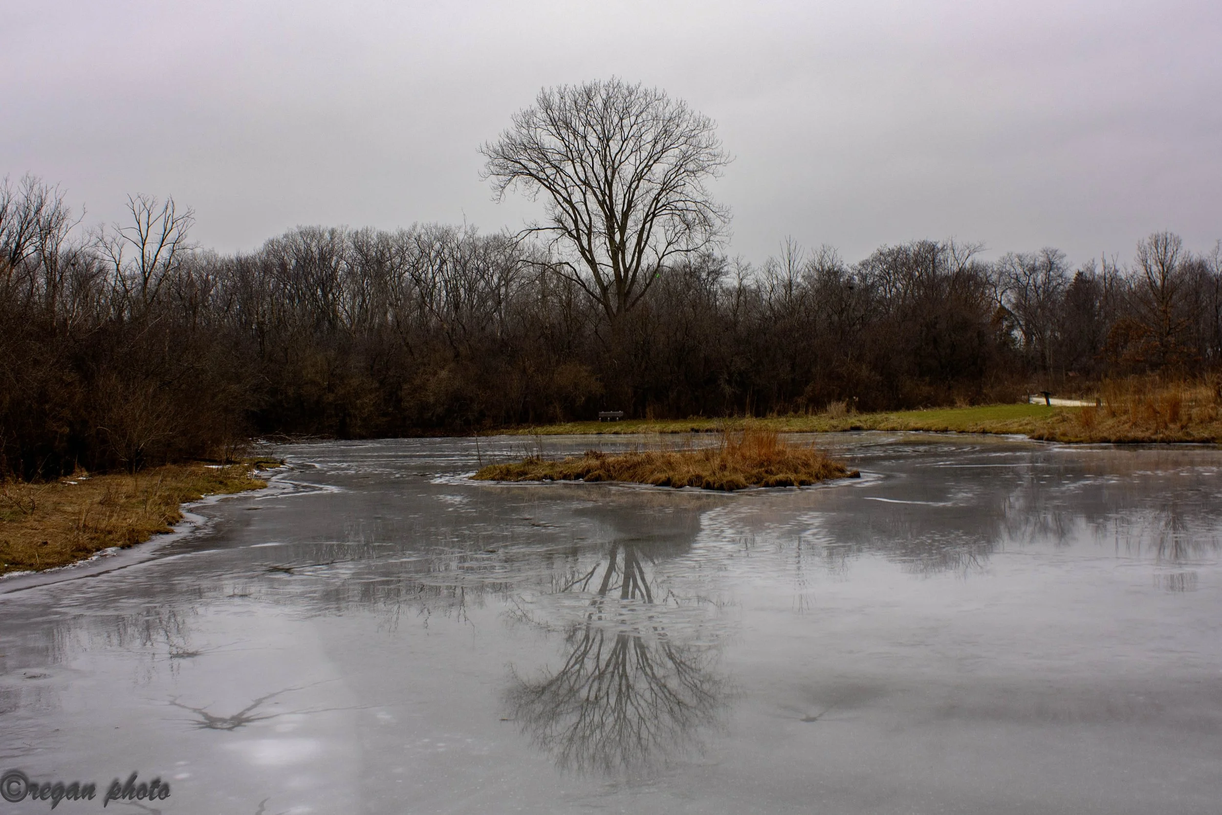 IMG_3150 edit edit.jpg