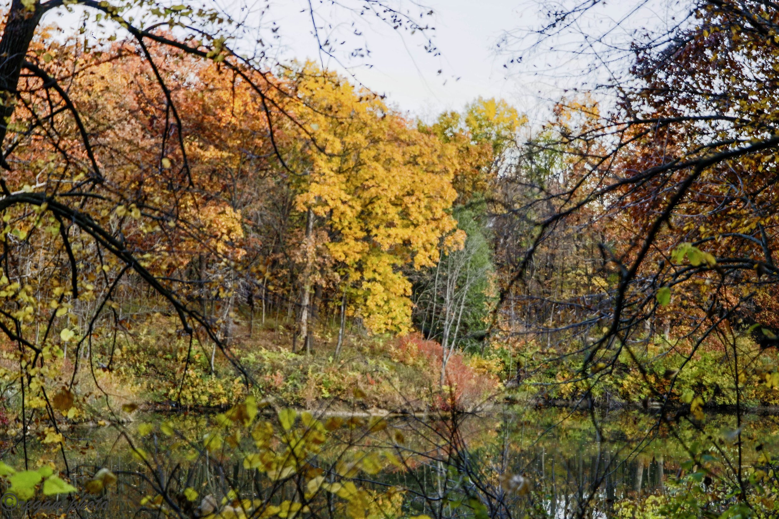 IMG_6945-HDR edit.jpg