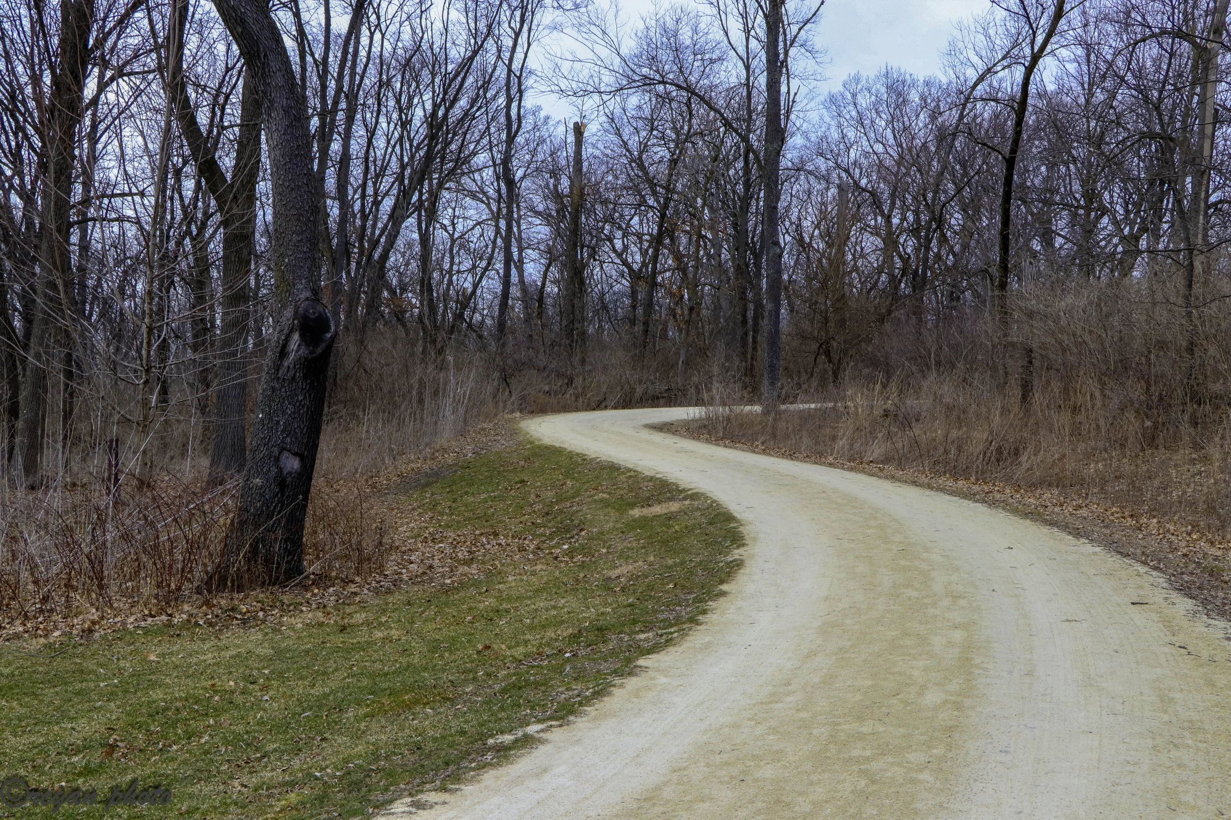 S-Curve edit edit.jpg