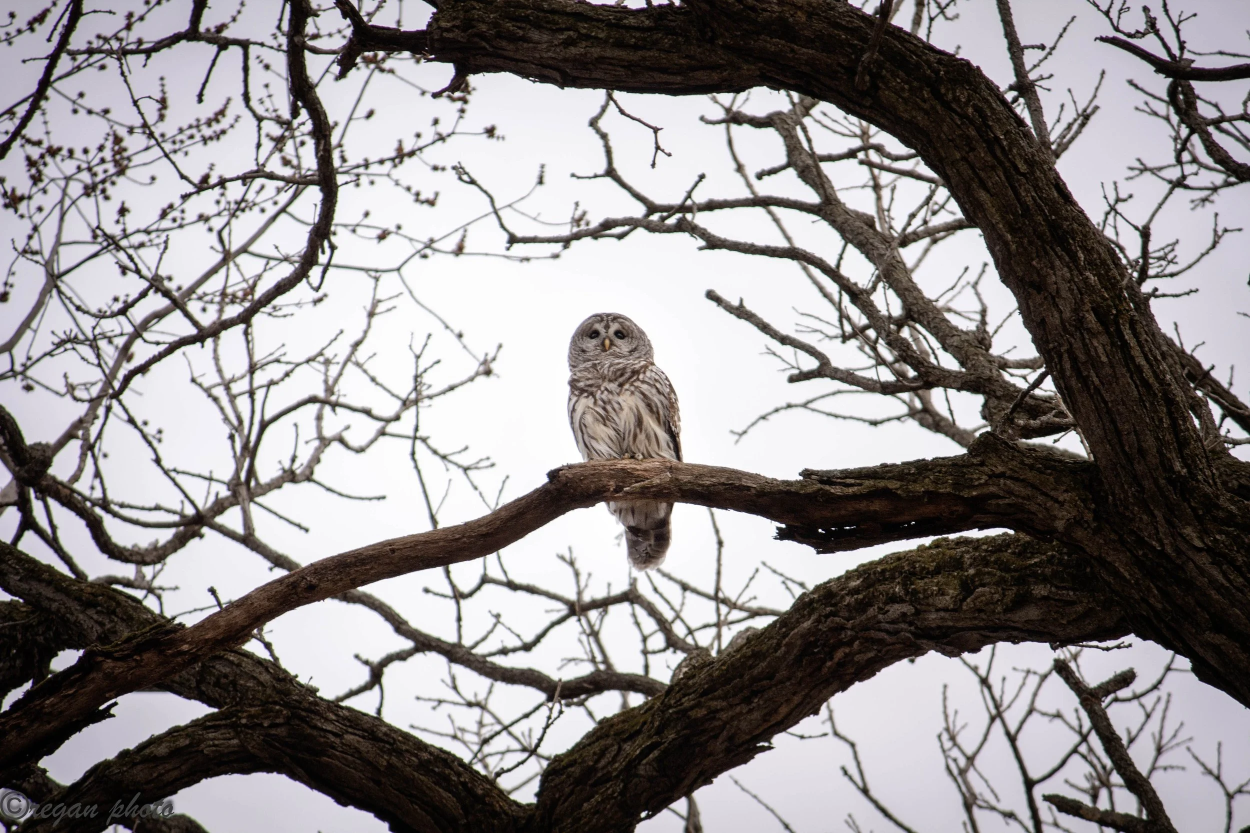 IMG_5070 edit edit.jpg