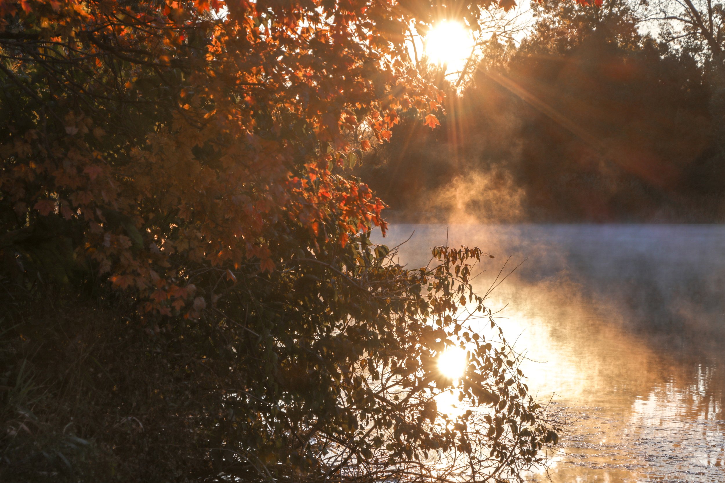 Morton Arboretum (19).jpg
