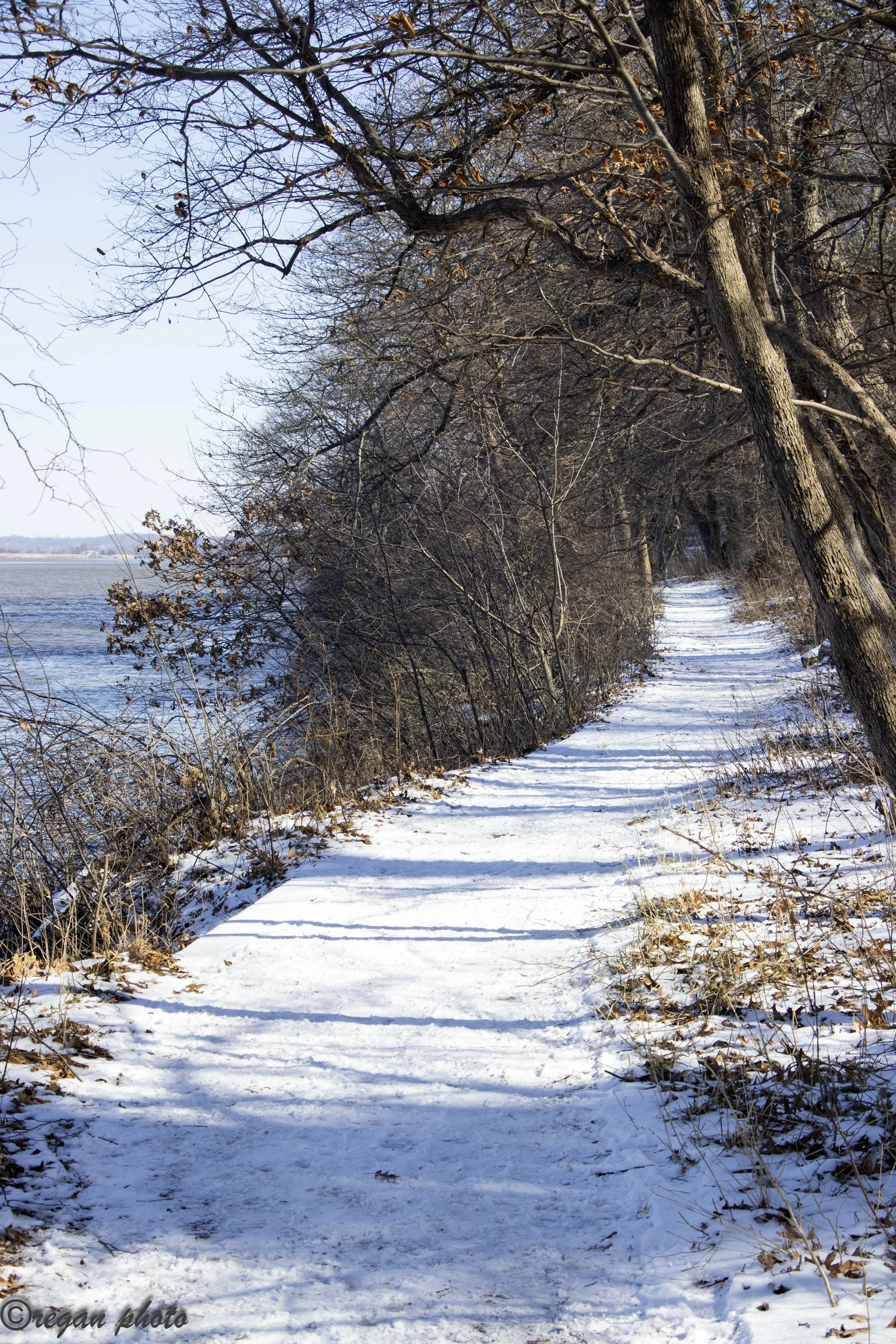 Trails (8) - edit edit.jpg