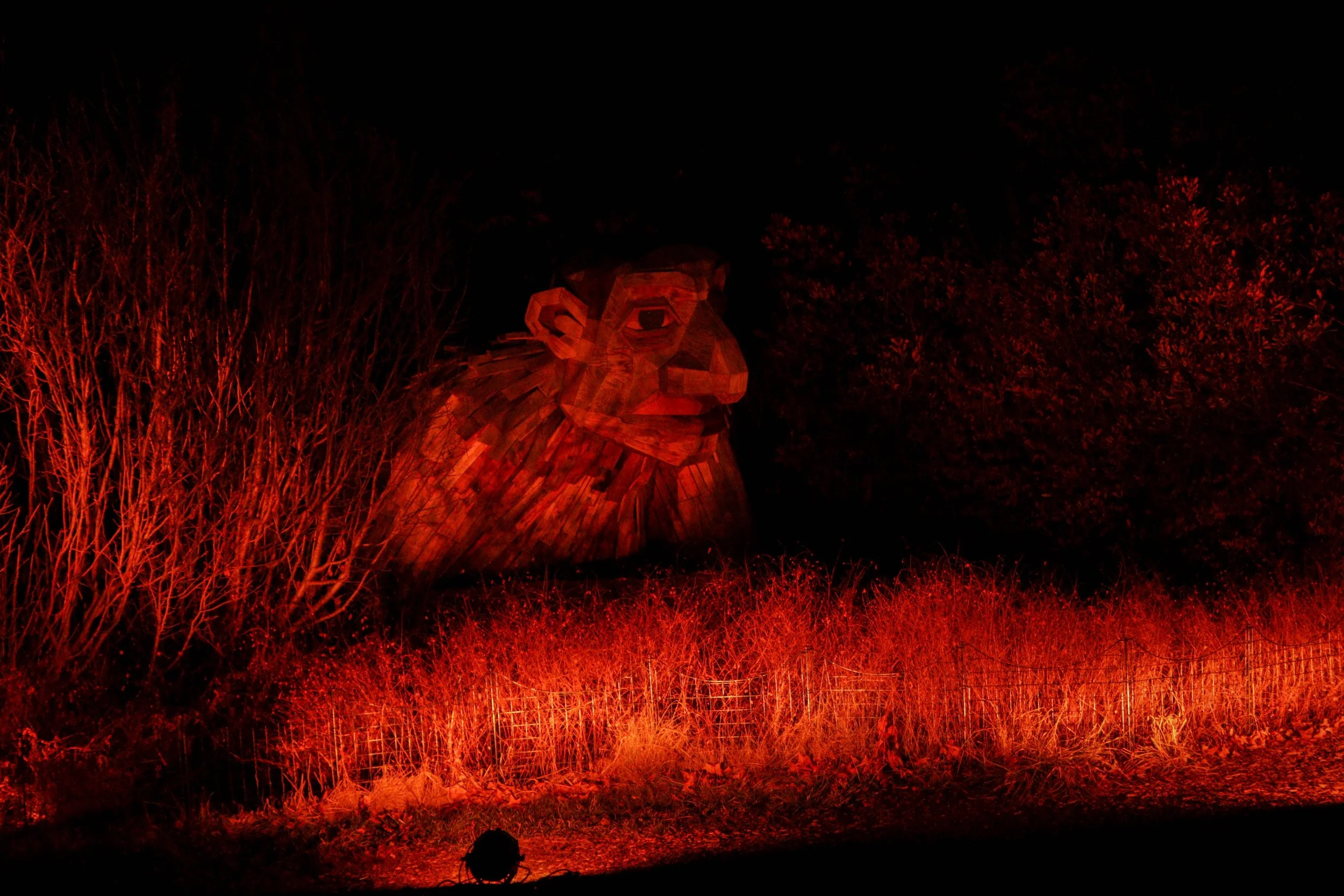 Illumination edit (16).jpg