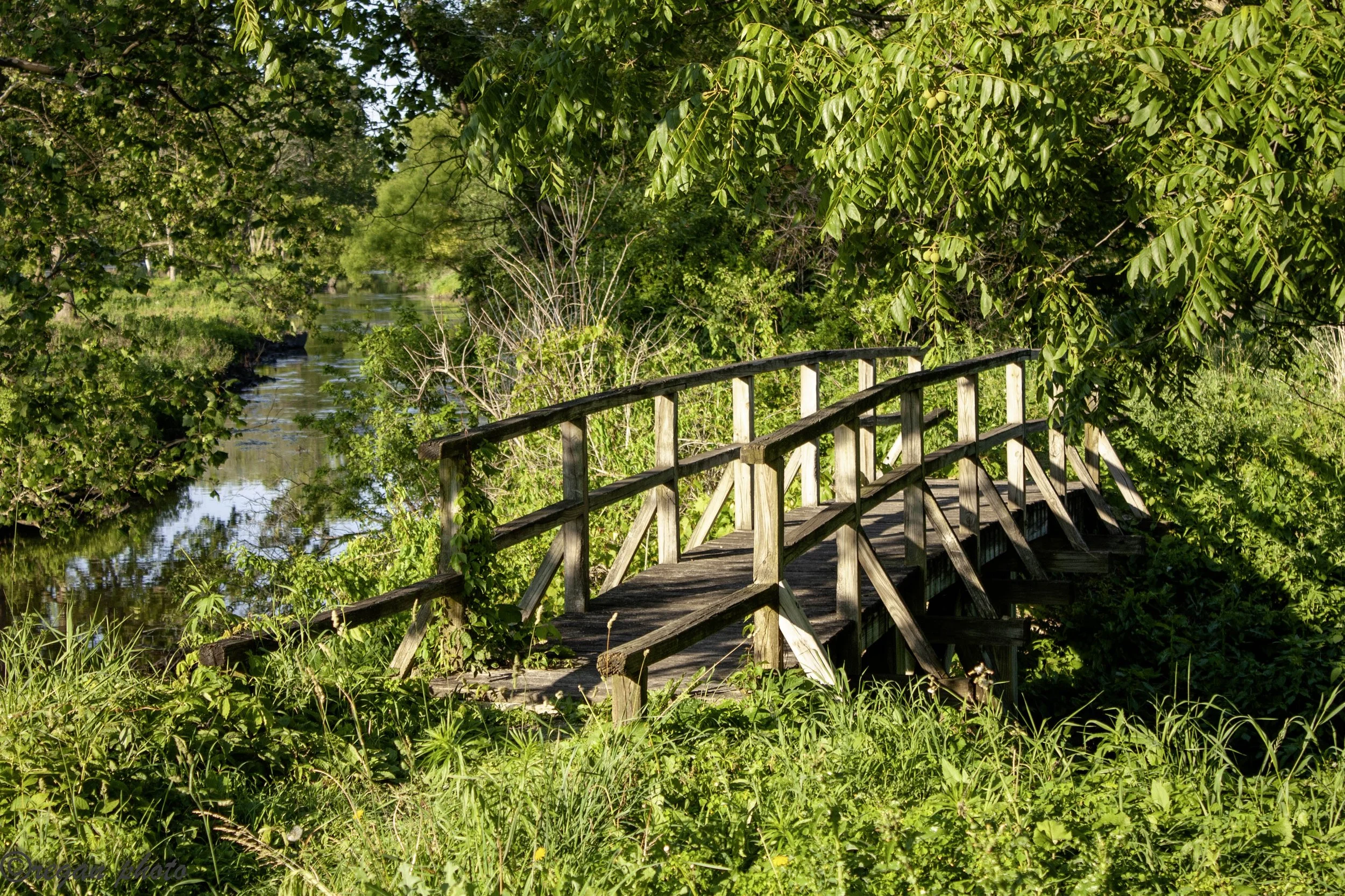 IMG_6251 edit edit.jpg