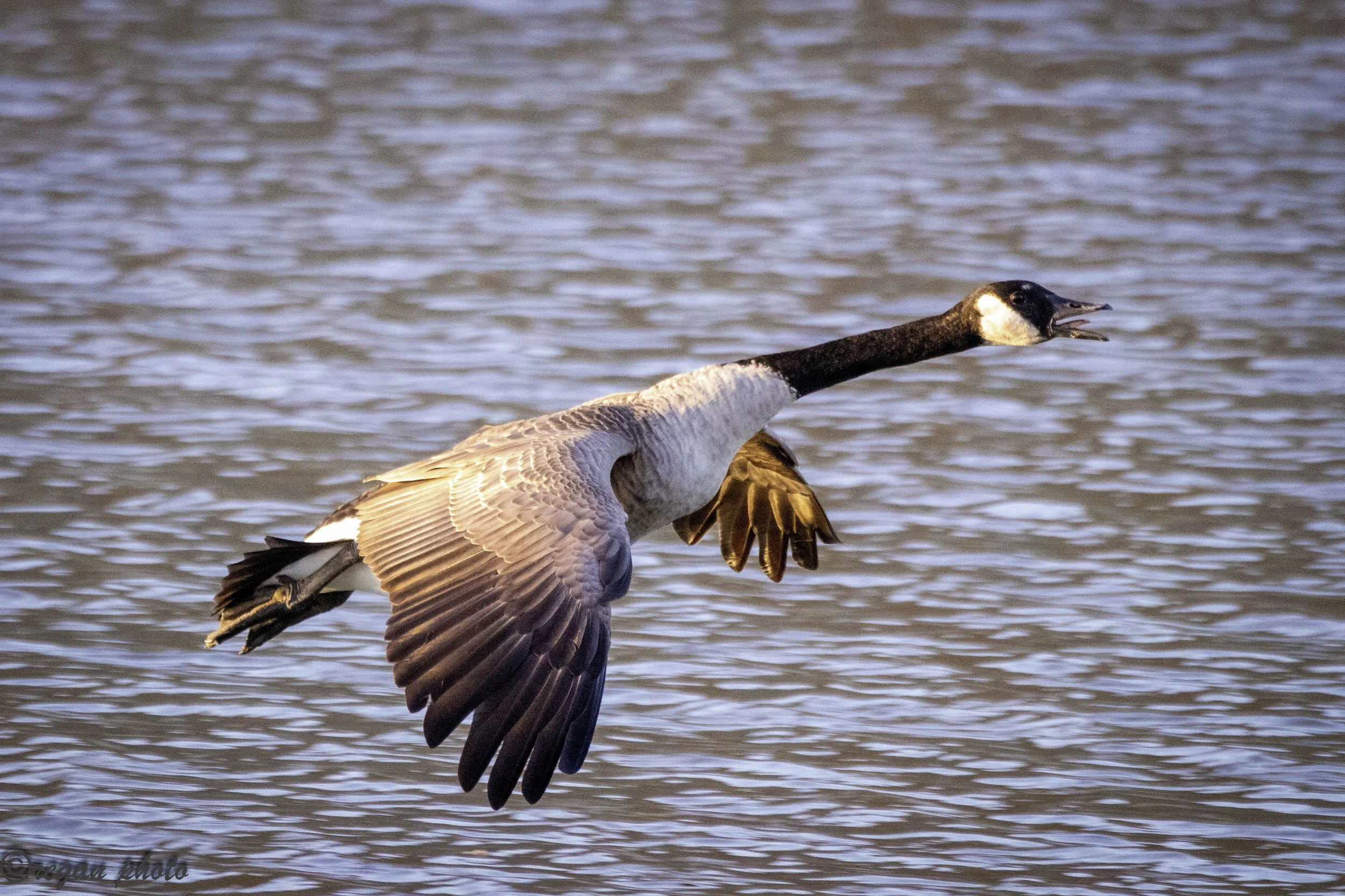 d (101) - edit edit.jpg