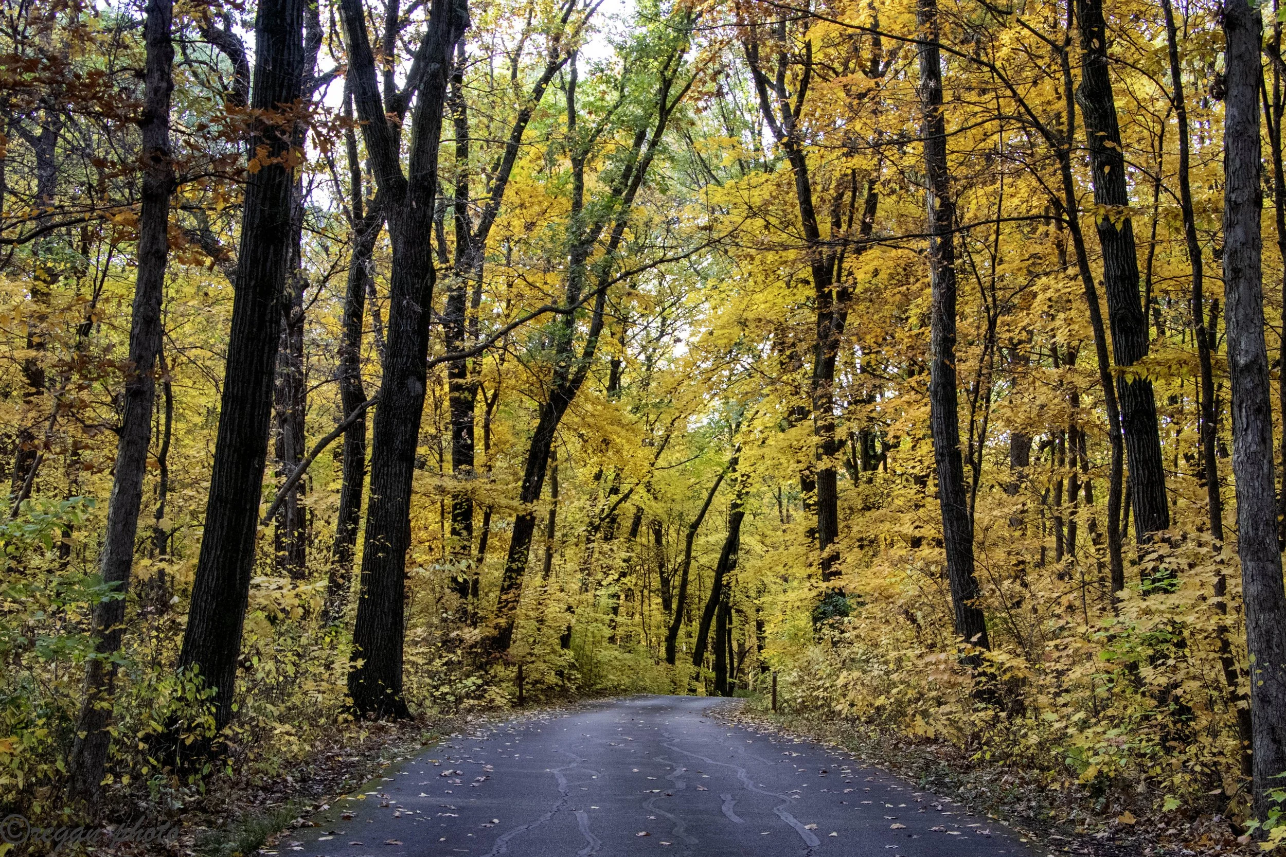 _MG_6858-HDR edit.jpg