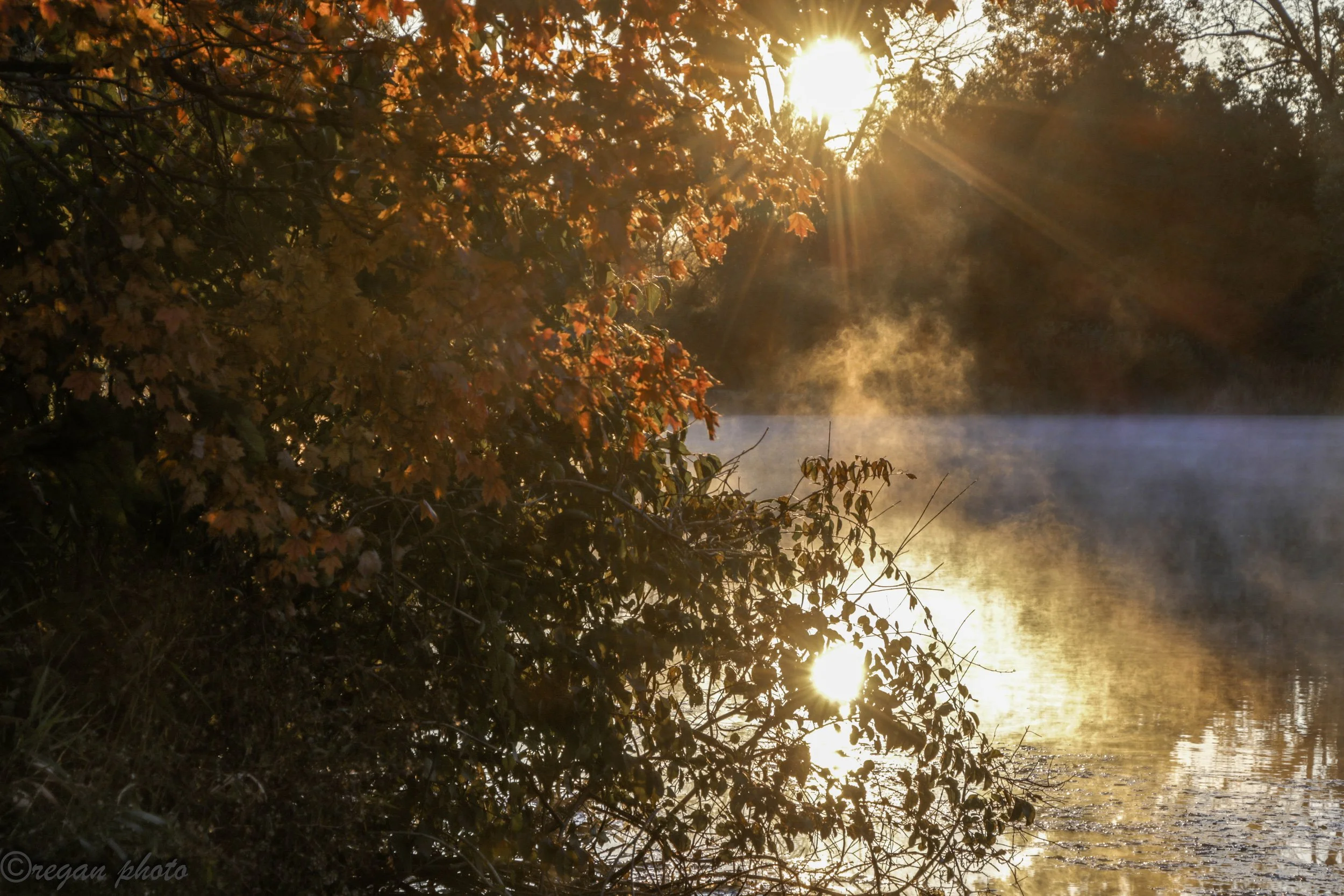 Morton Arboretum (19) edit.jpg