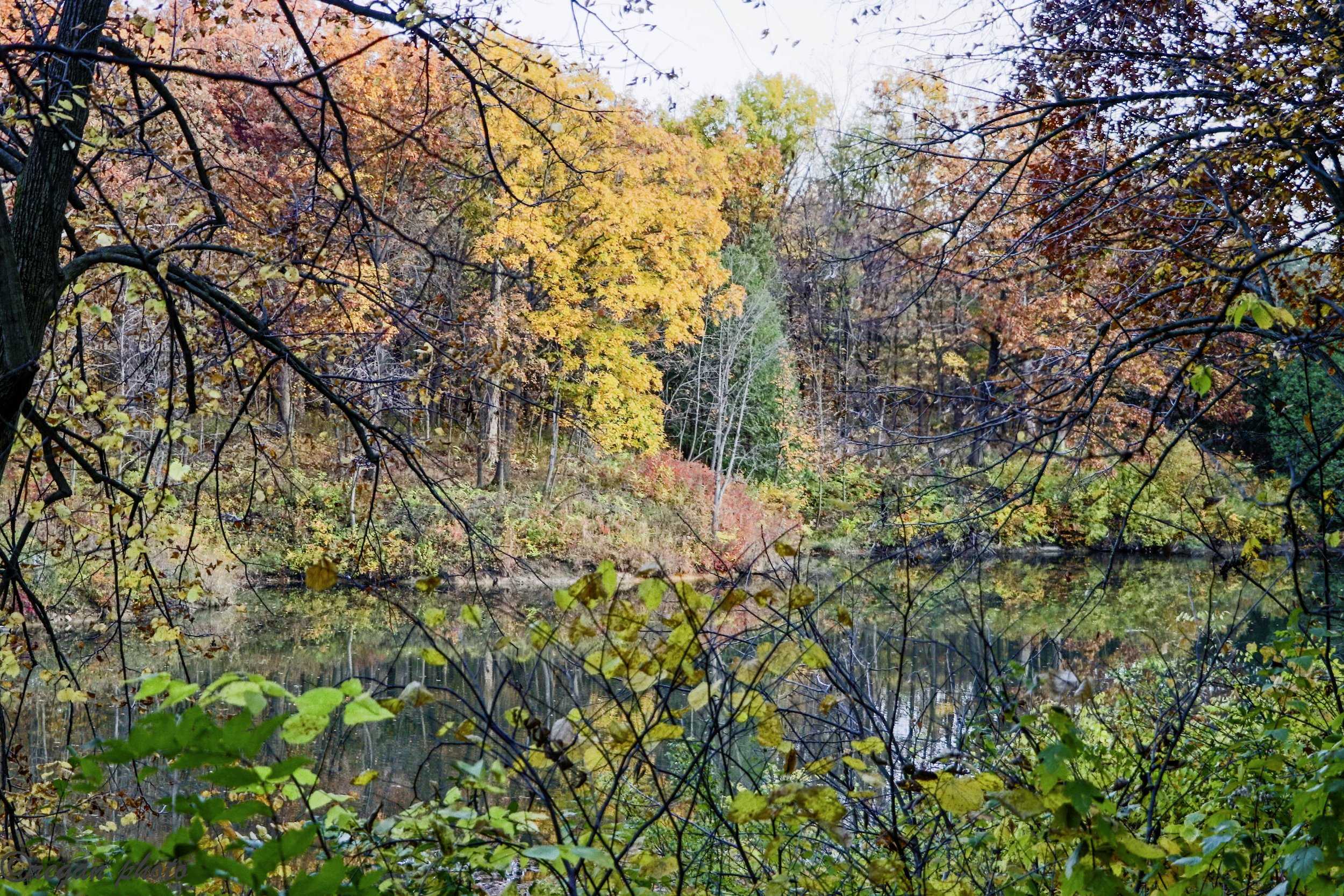 IMG_6962-HDR edit.jpg