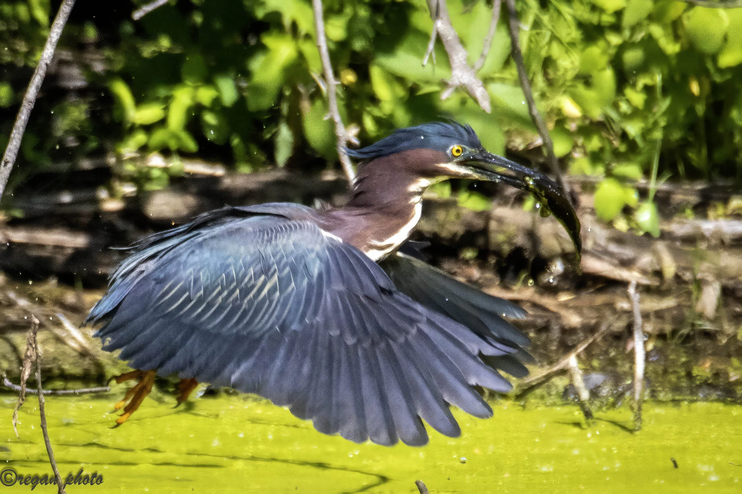 Churchhill Park-14 edit.jpg