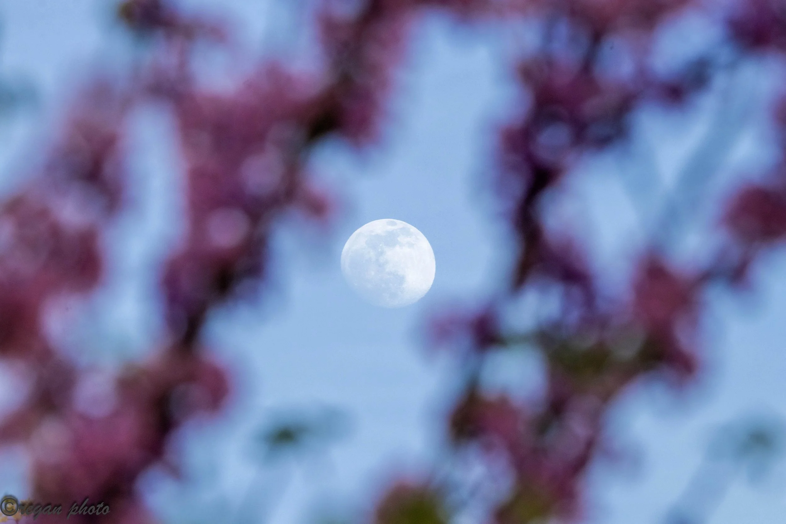 Moon (28) - edit edit.jpg