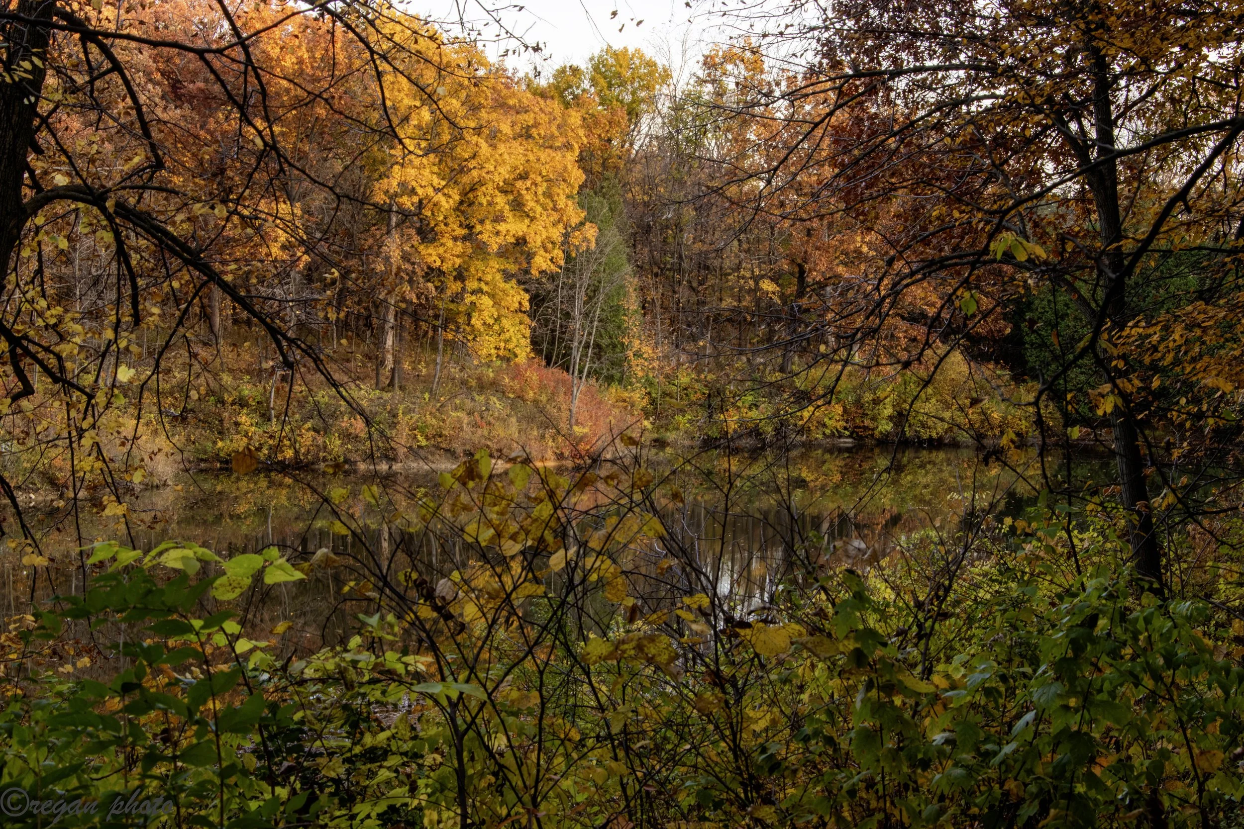 _MG_6958-HDR edit.jpg