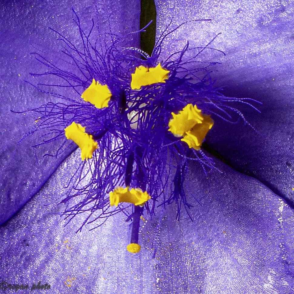 rotary (16) edit-2 edit.jpg