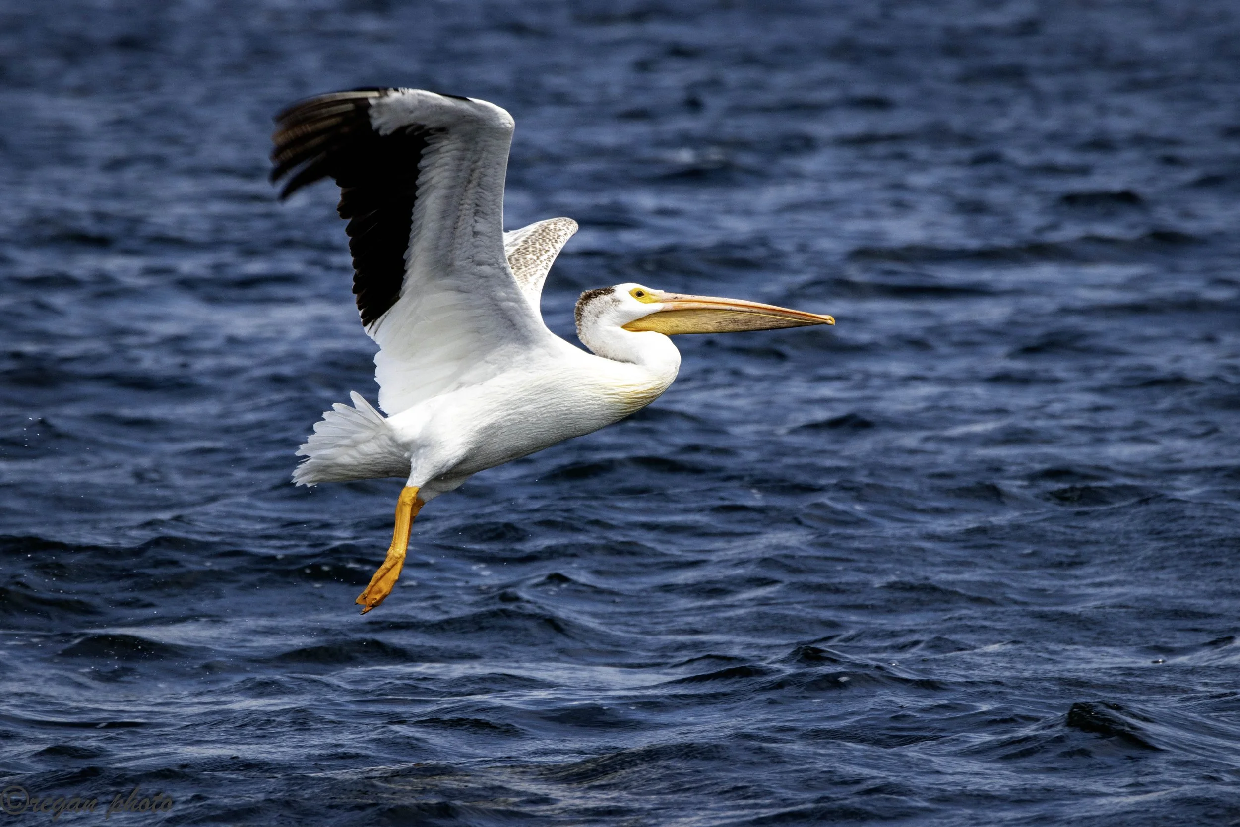 c1 (533) - edit edit.jpg