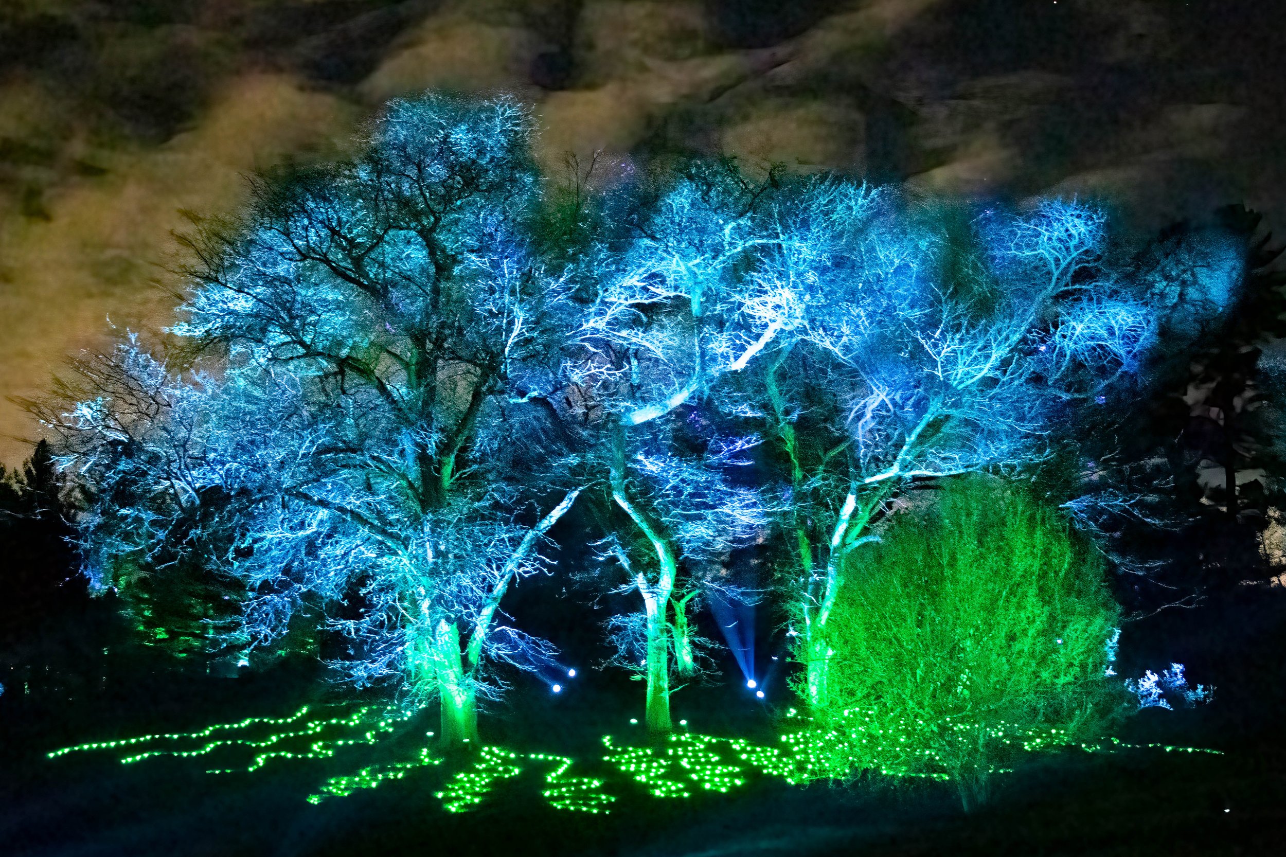 J (14)-Edit edit.jpg