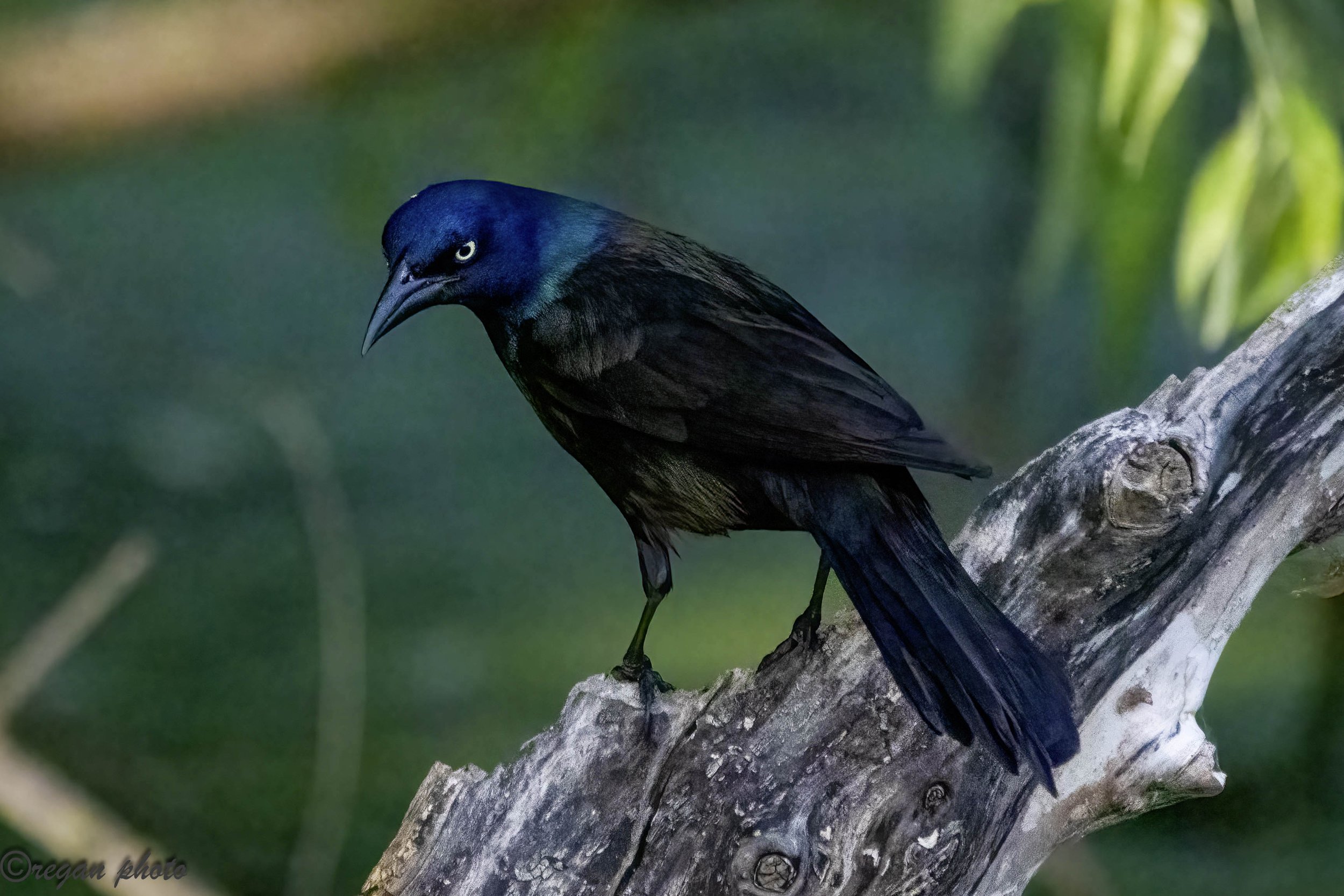 lm4 (27)-Edit edit.jpg