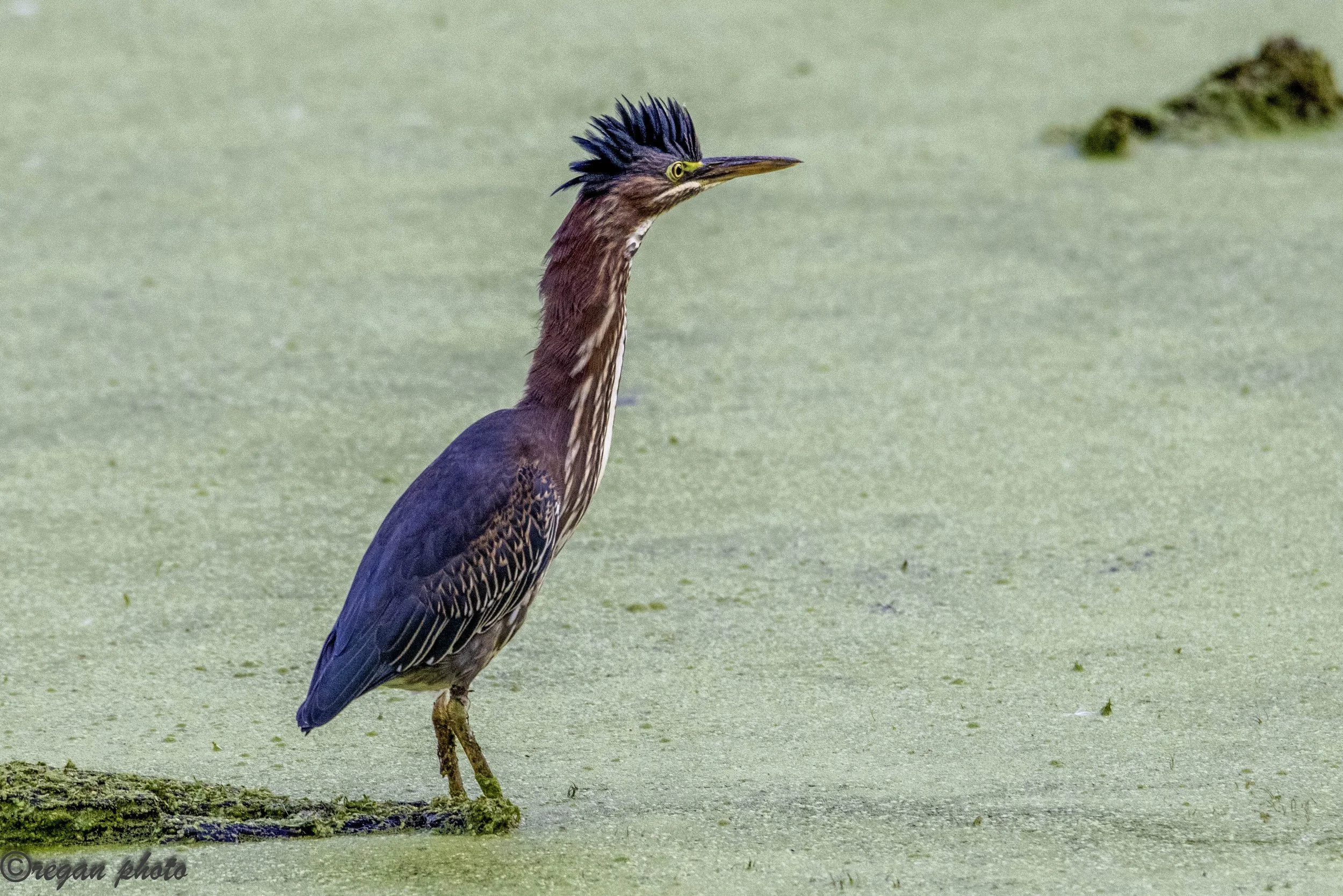 b1 (14) - edit edit.jpg