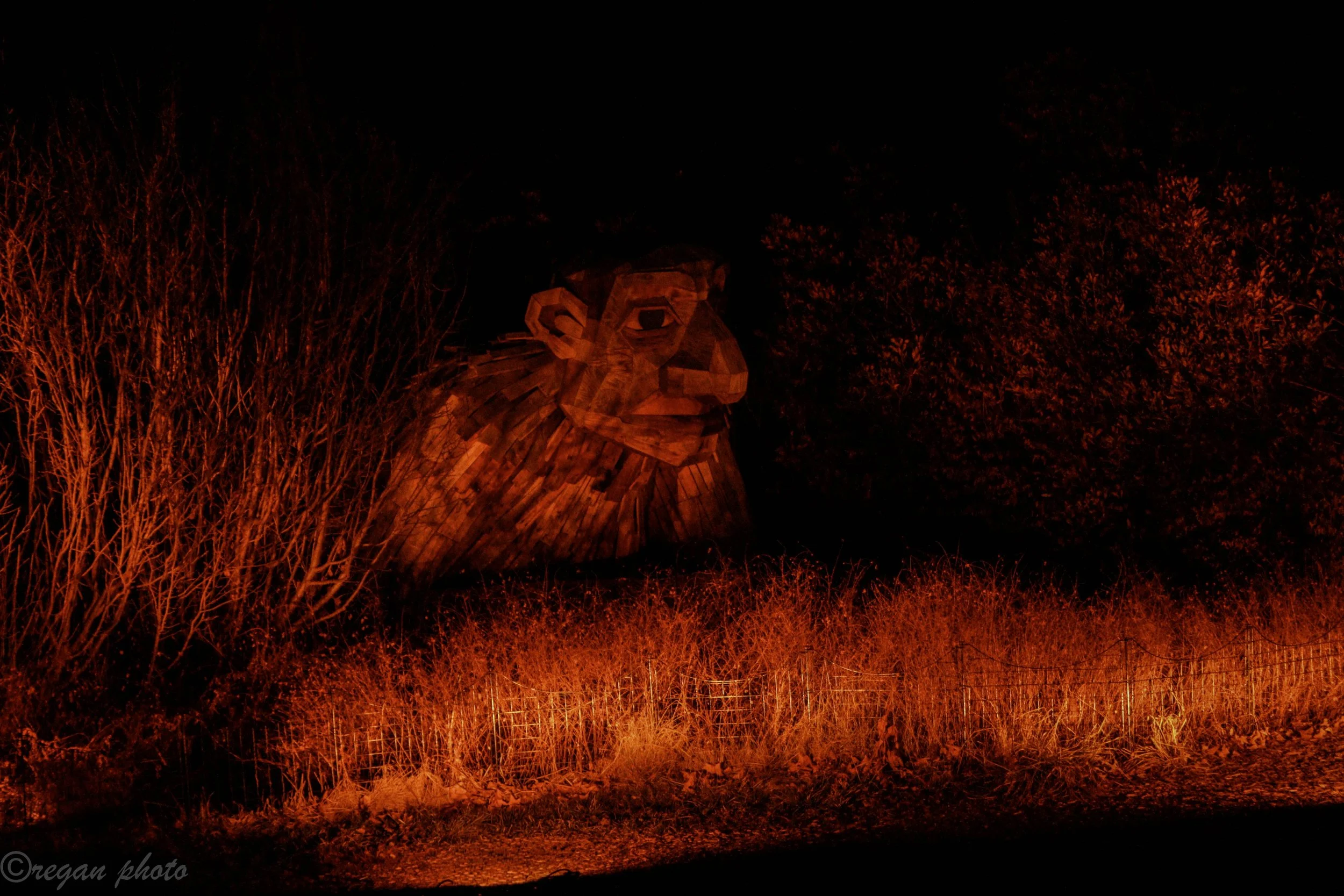 Illumination edit (16) edit.jpg