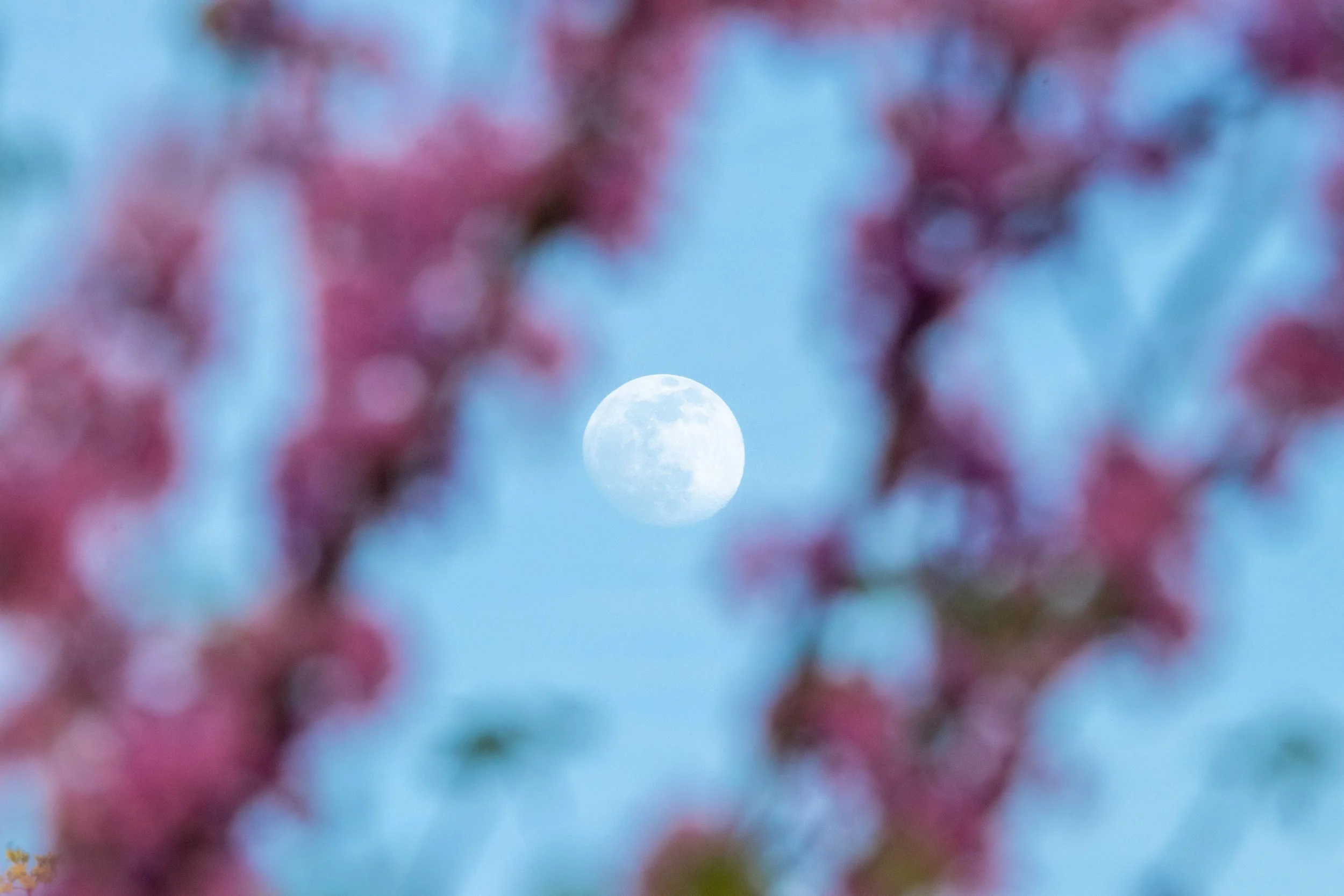 Moon (28) - edit.jpg