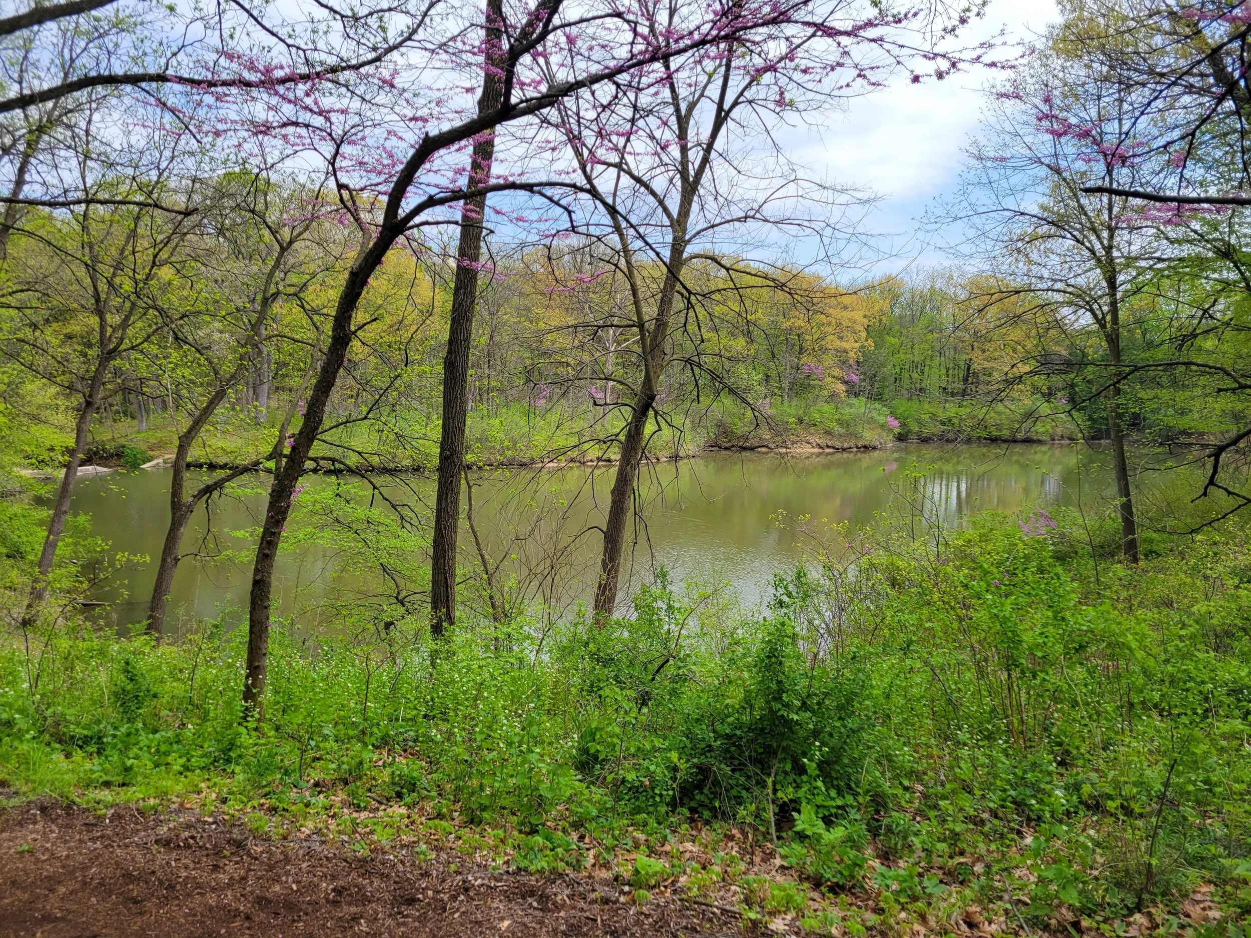 Sterling (3) - edit.jpg