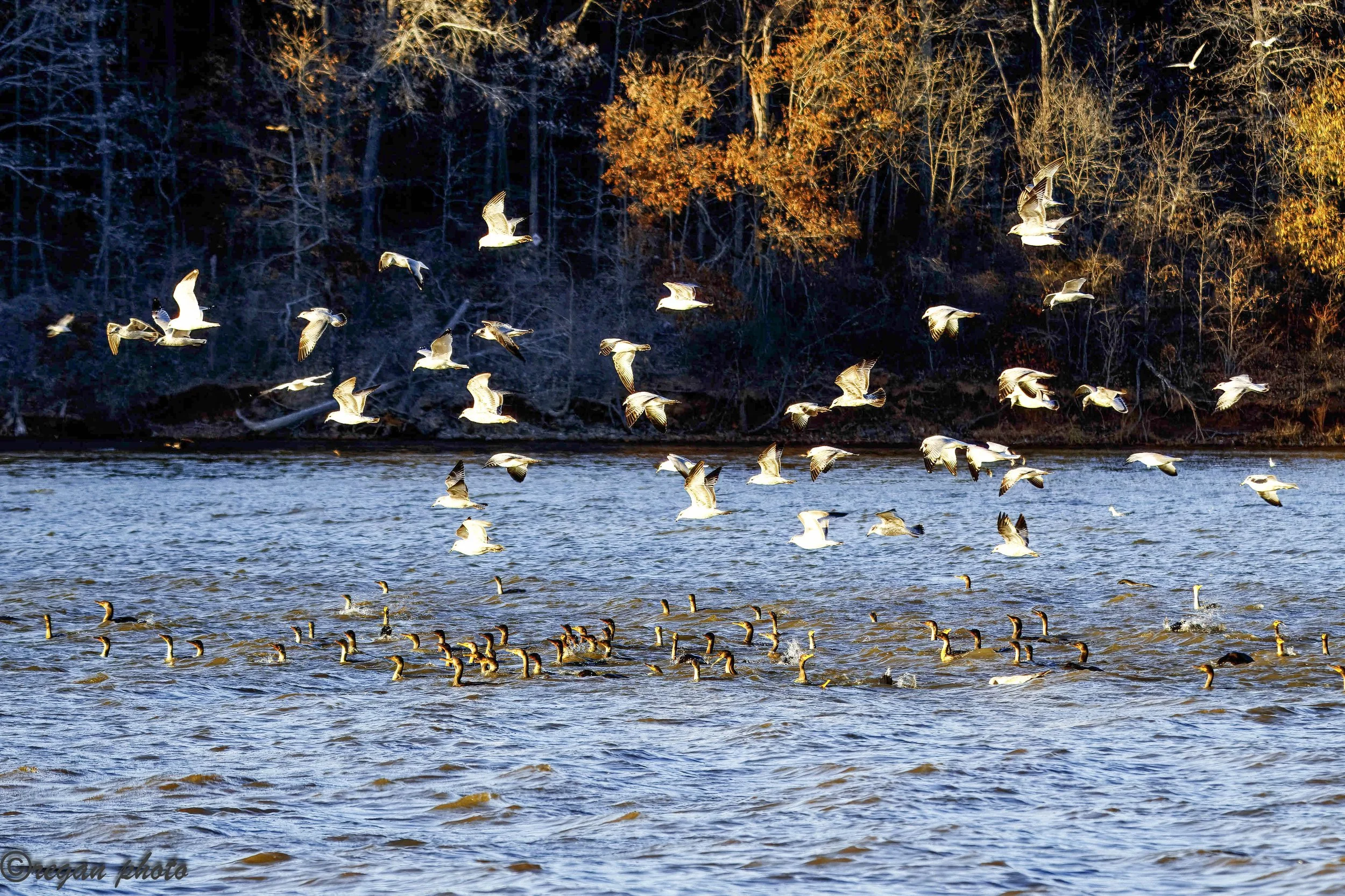 B (17) edit edit.jpg