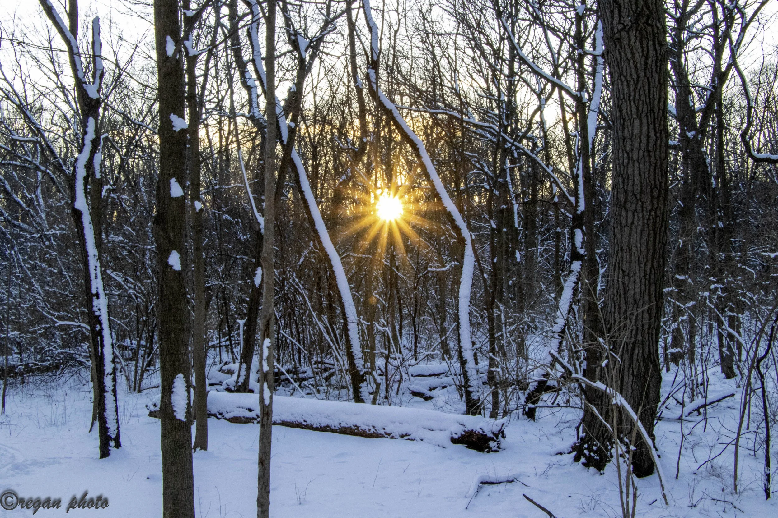 Glen Falls (34)-edit edit.jpg