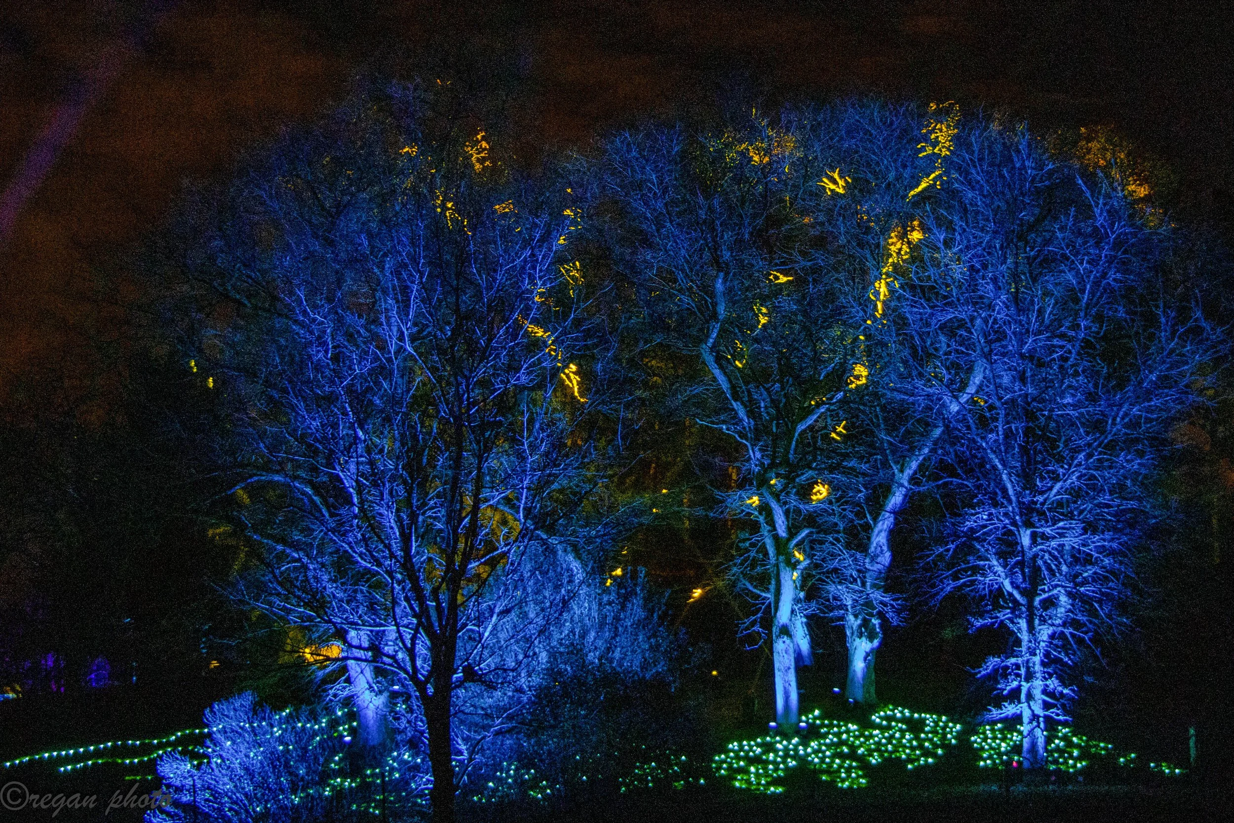 H (10) edit edit.jpg