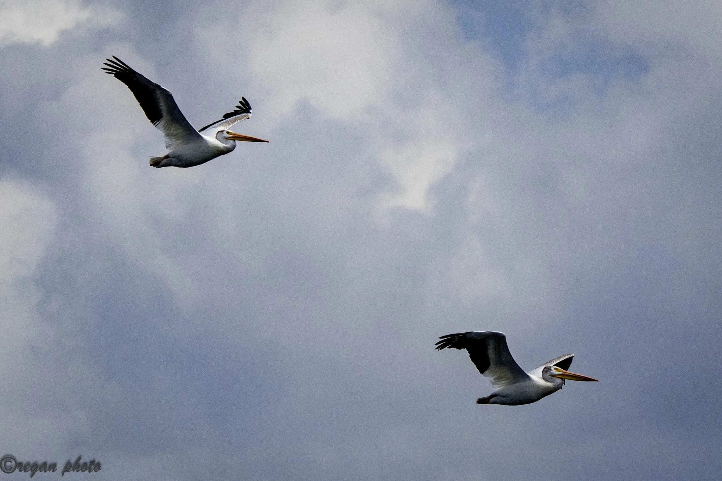 c1 (554) - edit edit.jpg