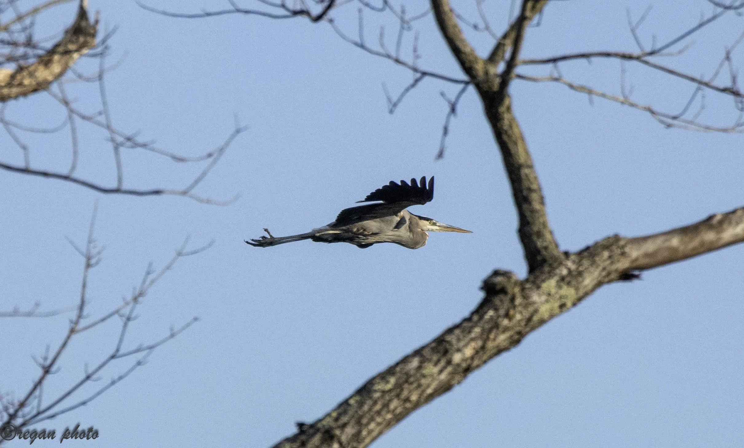 h (54) - edit edit.jpg