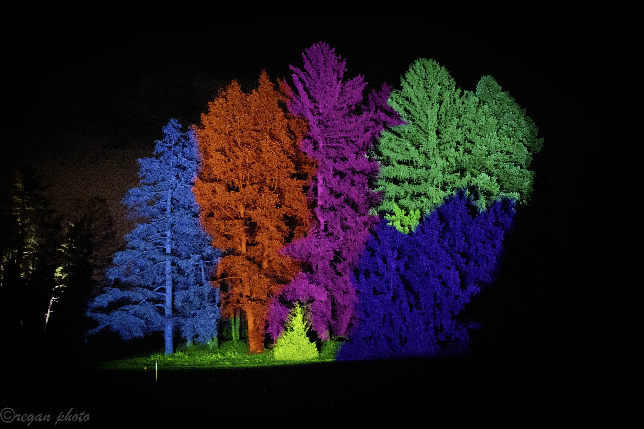 C (115) edit edit.jpg